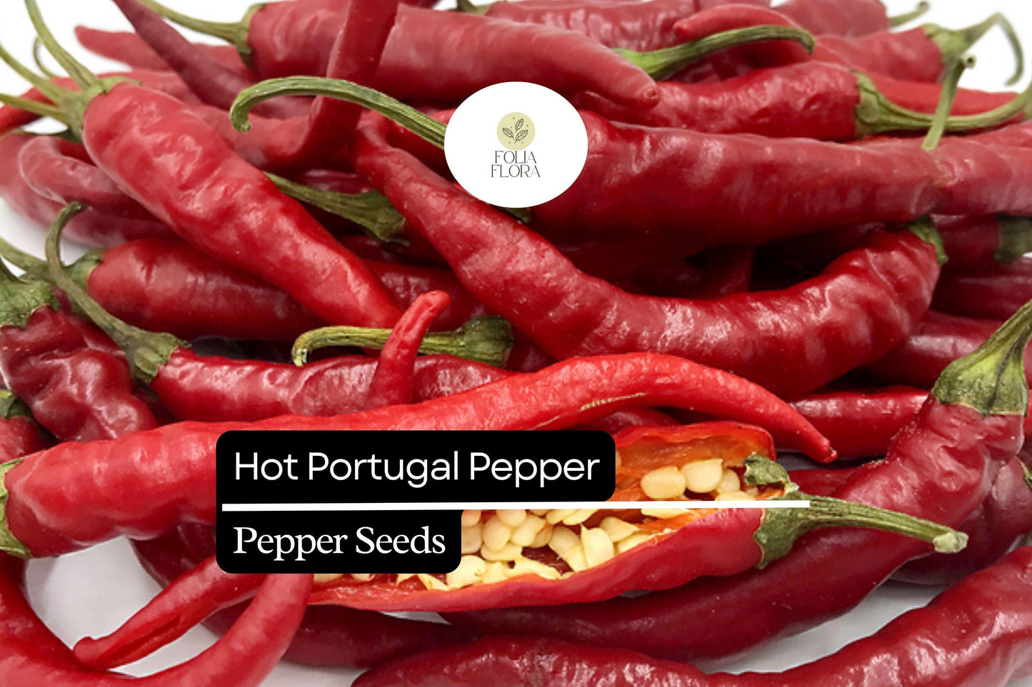 Hot Portugal Pepper Seeds - 25 Heirloom Medium-Hot Chili Seeds - Capsicum annuum - Non-GMO, Early Maturing, Versatile Culinary Use