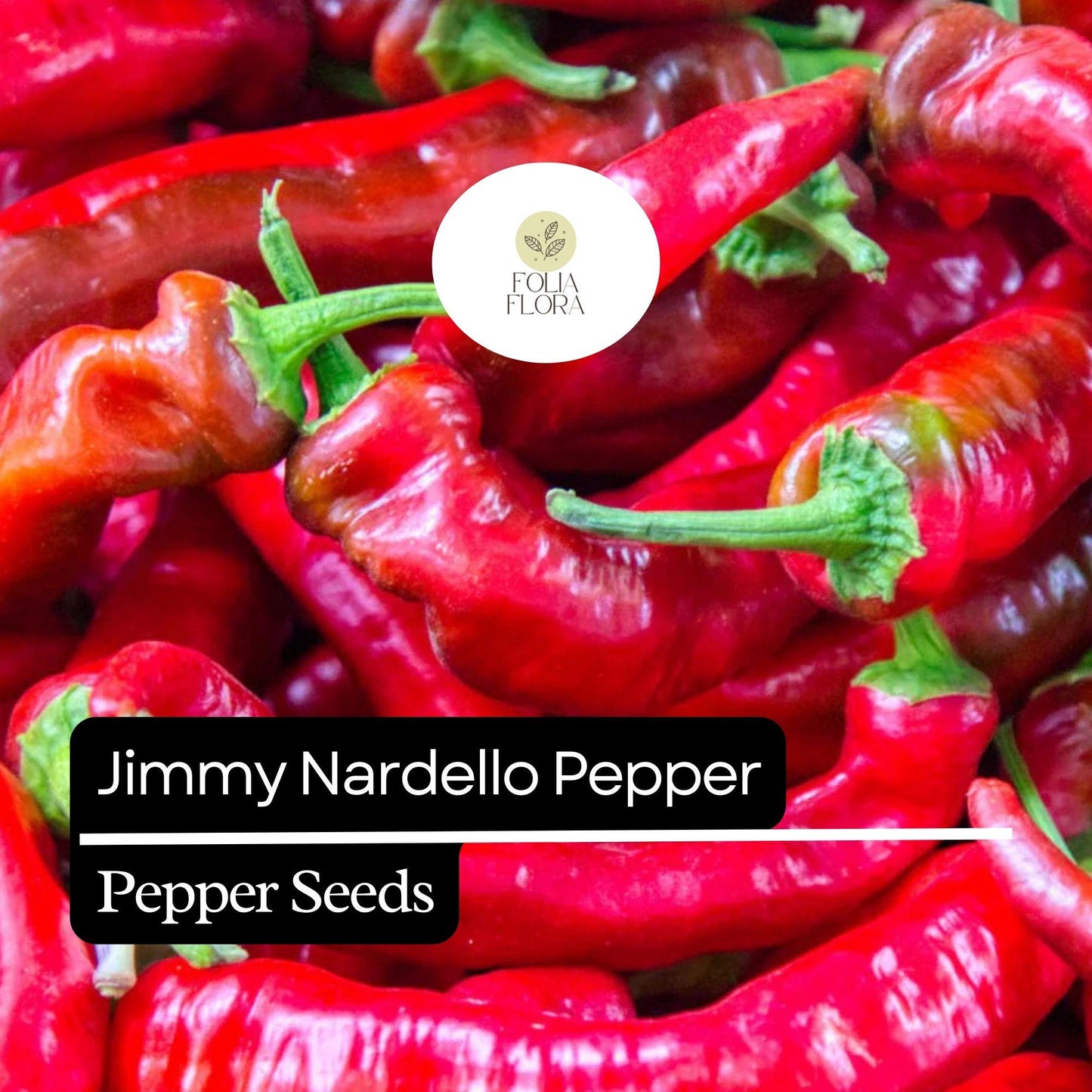 Jimmy Nardello Pepper Seeds - 20 Non-GMO Heirloom Seeds - Sweet Italian Frying Pepper (Capsicum annuum) - Rich Flavor