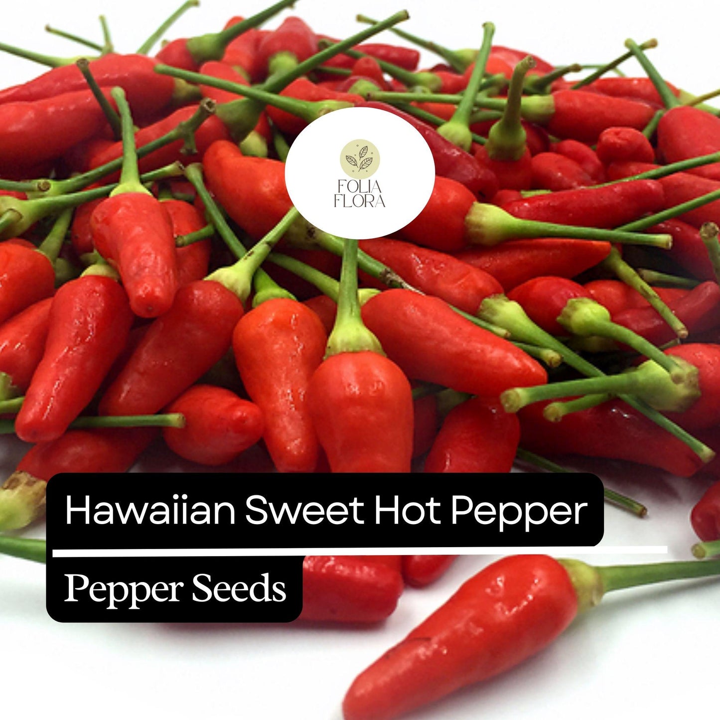 Hawaiian Sweet Hot Pepper Seeds - 15 Non-GMO Heirloom Seeds, Capsicum annuum, Spicy & Sweet Flavor, High Yield