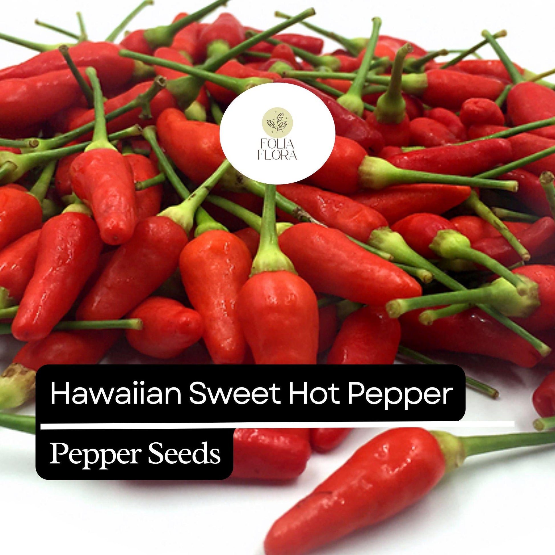 Hawaiian Sweet Hot Pepper Seeds - 15 Non-GMO Heirloom Seeds, Capsicum annuum, Spicy & Sweet Flavor, High Yield