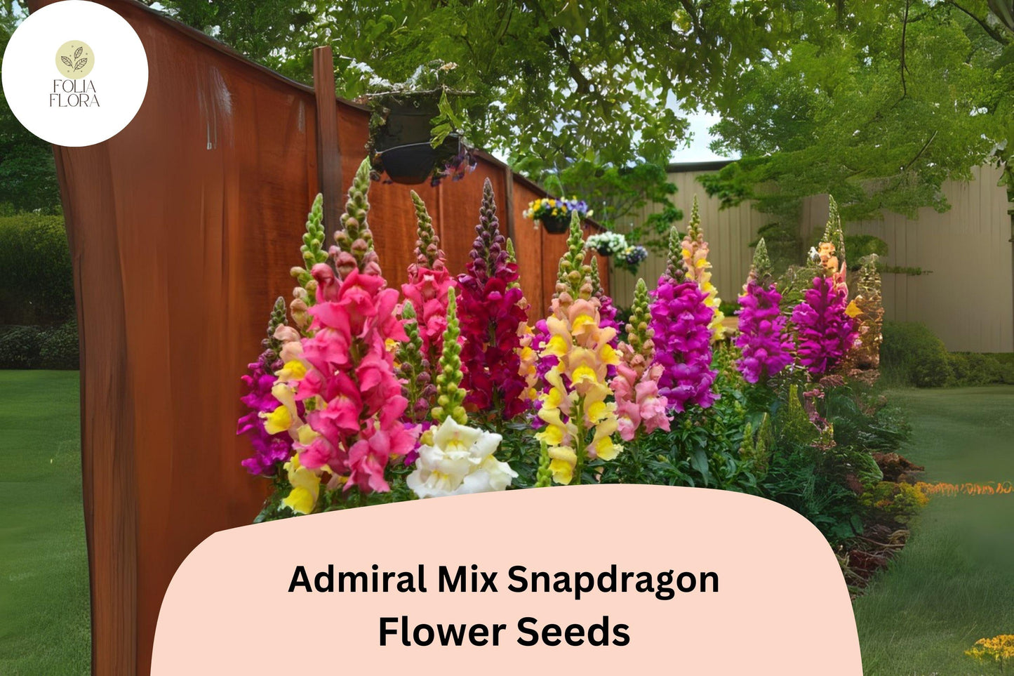 Snapdragon Seeds | 1000+ Admiral Mix | Vibrant Colors | Antirrhinum majus | Pollinator-Friendly Annual for Garden & Borders