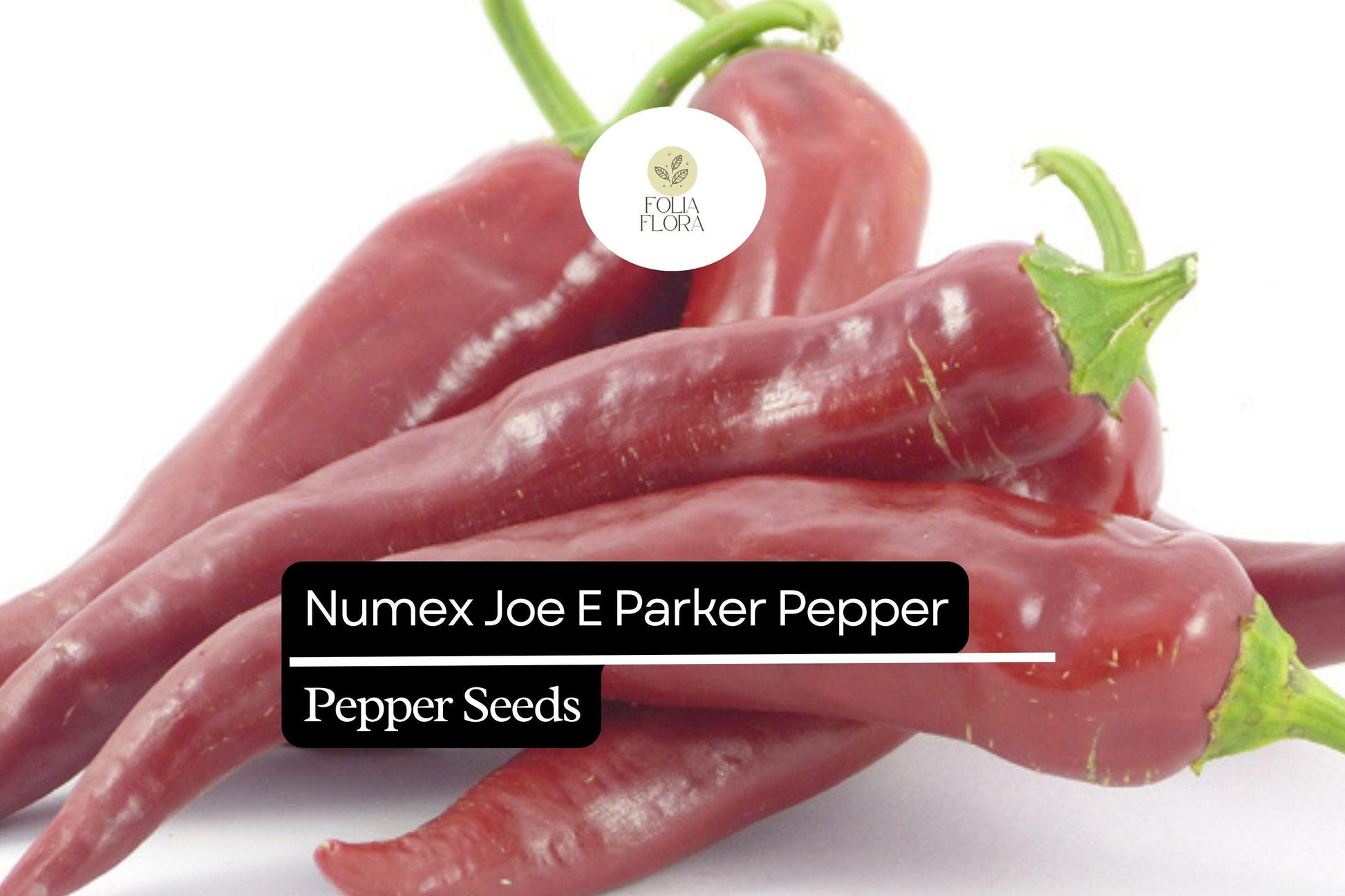 NuMex Joe E. Parker Pepper Seeds - Heirloom Non-GMO Mild Hatch Chile (Capsicum annuum) - Perfect for Roasting & Grilling
