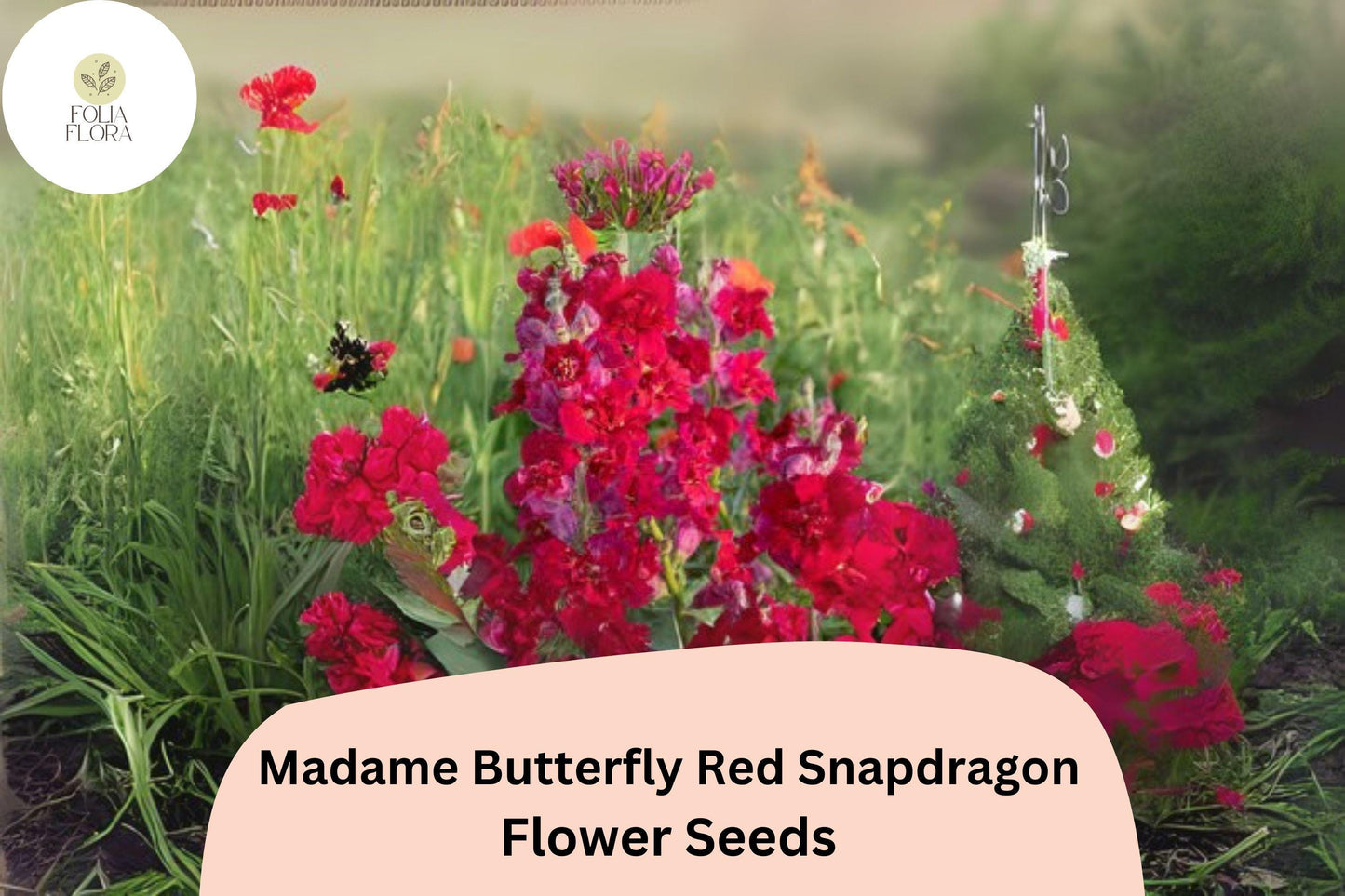 Snapdragon Seeds - 1000+ Madame Butterfly Red - Antirrhinum majus - Double-Petaled Ruffled Blooms for Garden & Cut Flowers