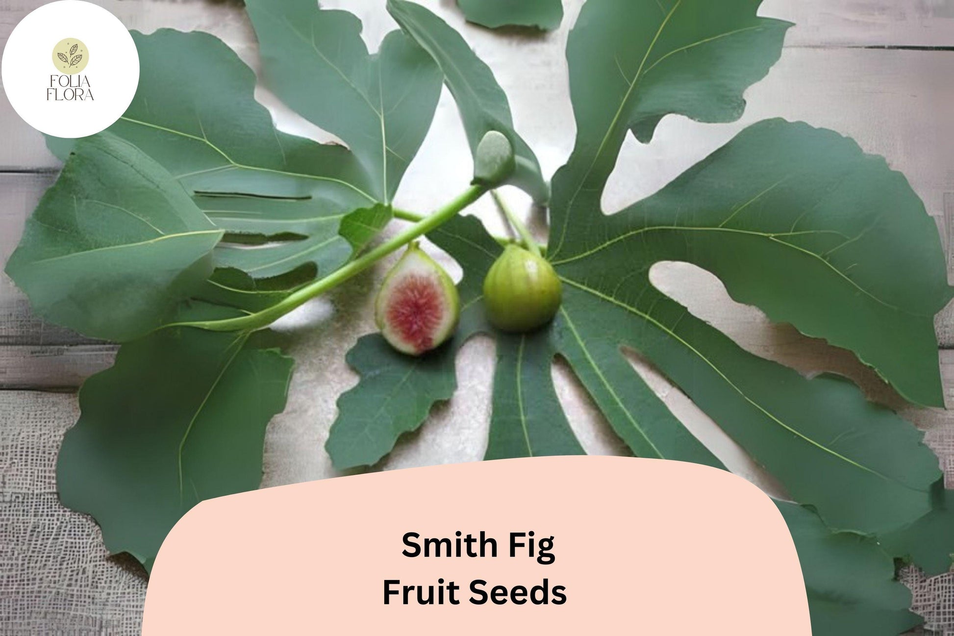 Smith Fig Seeds - 100+ Heirloom Ficus carica - Sweet Yellow-Green Skin, Red Flesh, Self-Pollinating, Disease-Resistant