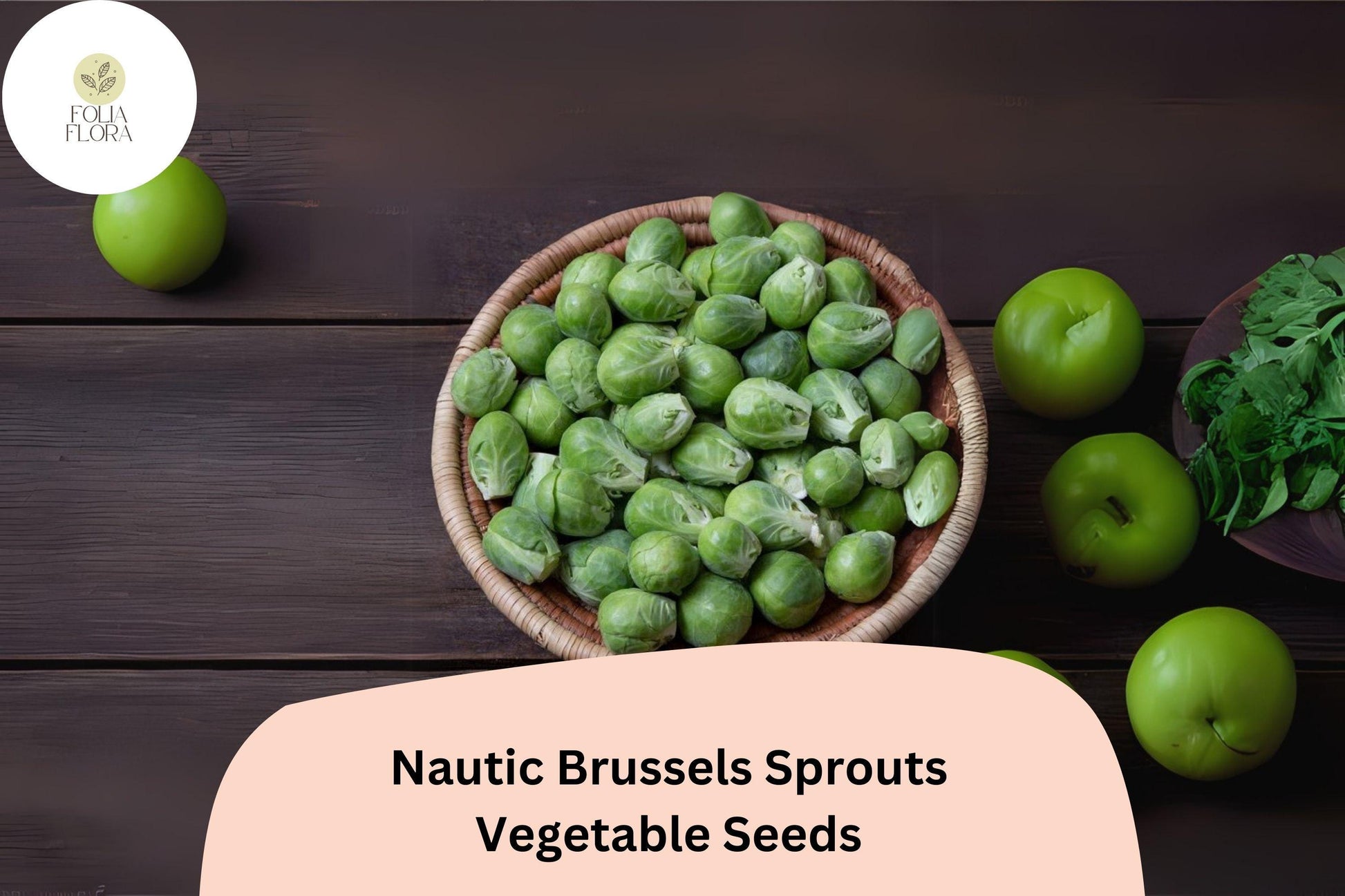 Nautic F1 Brussels Sprouts Seeds 500+ High-Yield Hybrid Cold-Hardy Disease-Resistant Green Sprouts for Fall Harvest