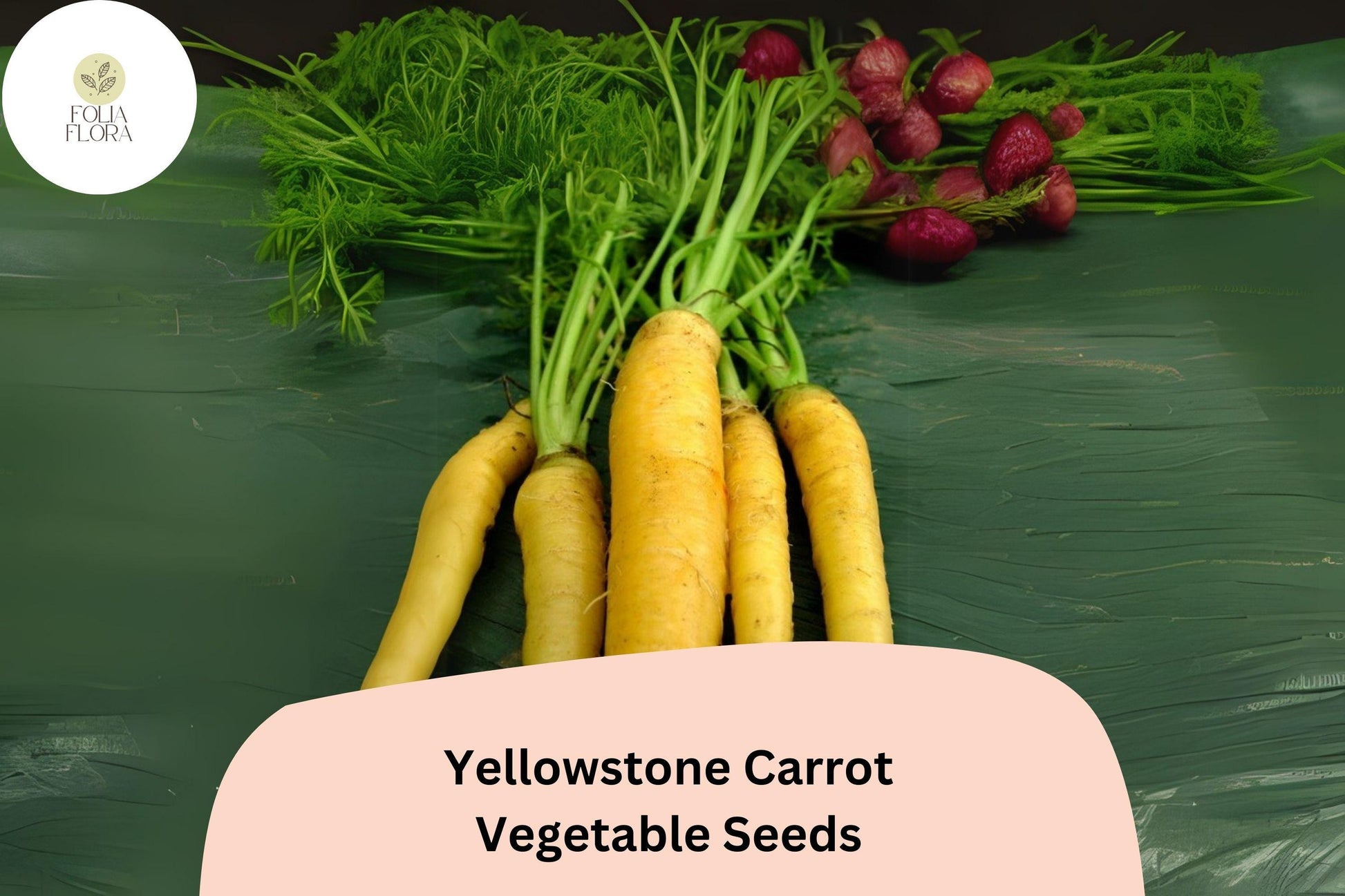 1000+ Yellowstone Carrot Seeds - Heirloom Yellow Carrots - Sweet & Tender - Daucus carota - High-Yield, Cold-Hardy, Heat-Tolerant
