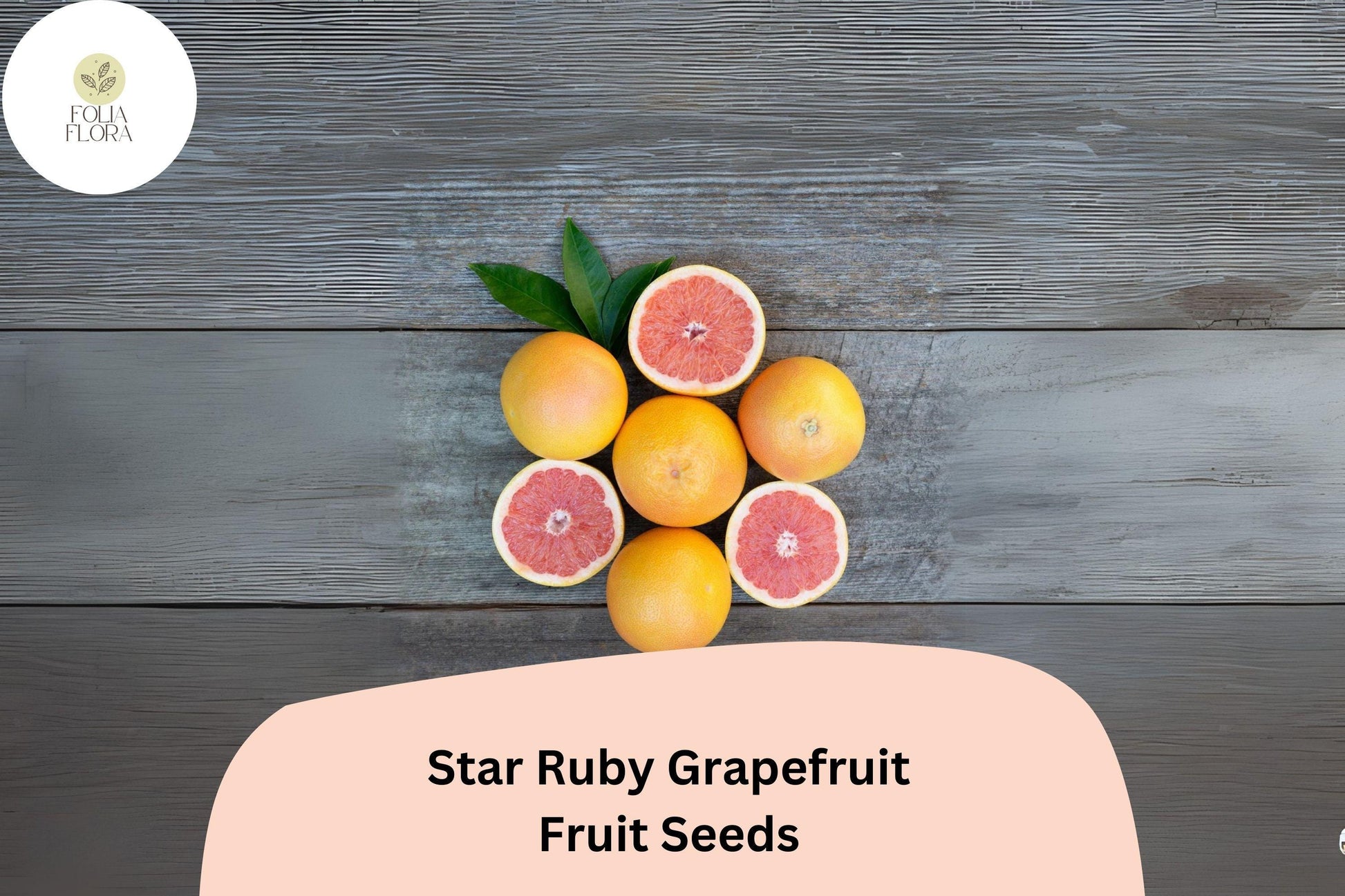 Star Ruby Grapefruit Seeds - Juicy Deep Red Citrus - Citrus paradisi ‘Star Ruby’ - High-Yield, Disease-Resistant Variety