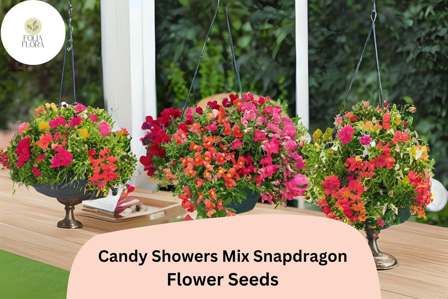 Candy Showers Snapdragon Seeds | 1000+ Mixed Color Trailing Blooms | Antirrhinum majus | Perfect for Hanging Baskets & Containers