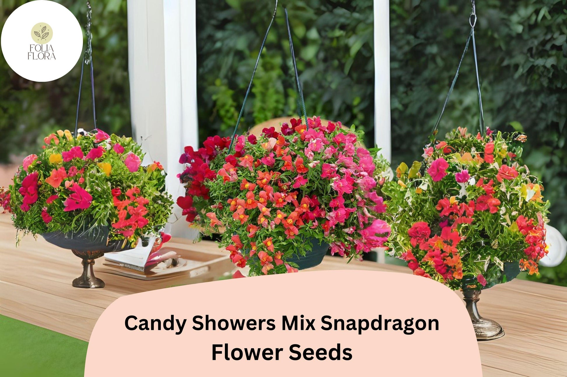 Candy Showers Snapdragon Seeds | 1000+ Mixed Color Trailing Blooms | Antirrhinum majus | Perfect for Hanging Baskets & Containers