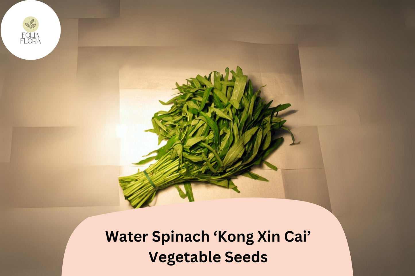120pcs Water Spinach Seeds | 'Kong Xin Cai' | Non-GMO Heirloom | Ipomoea aquatica | Fast-Growing Asian Greens for Cooking