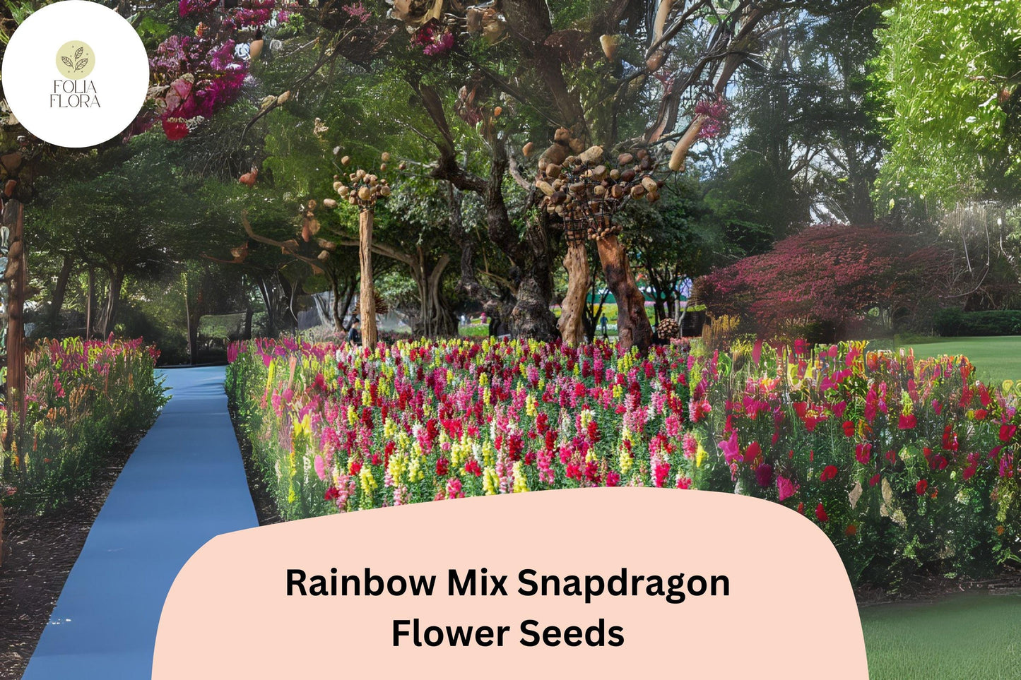 Snapdragon Seeds - 1000+ Rainbow Mix - Antirrhinum majus - Multicolor Blooms for Garden & Cut Flowers - Pollinator-Friendly