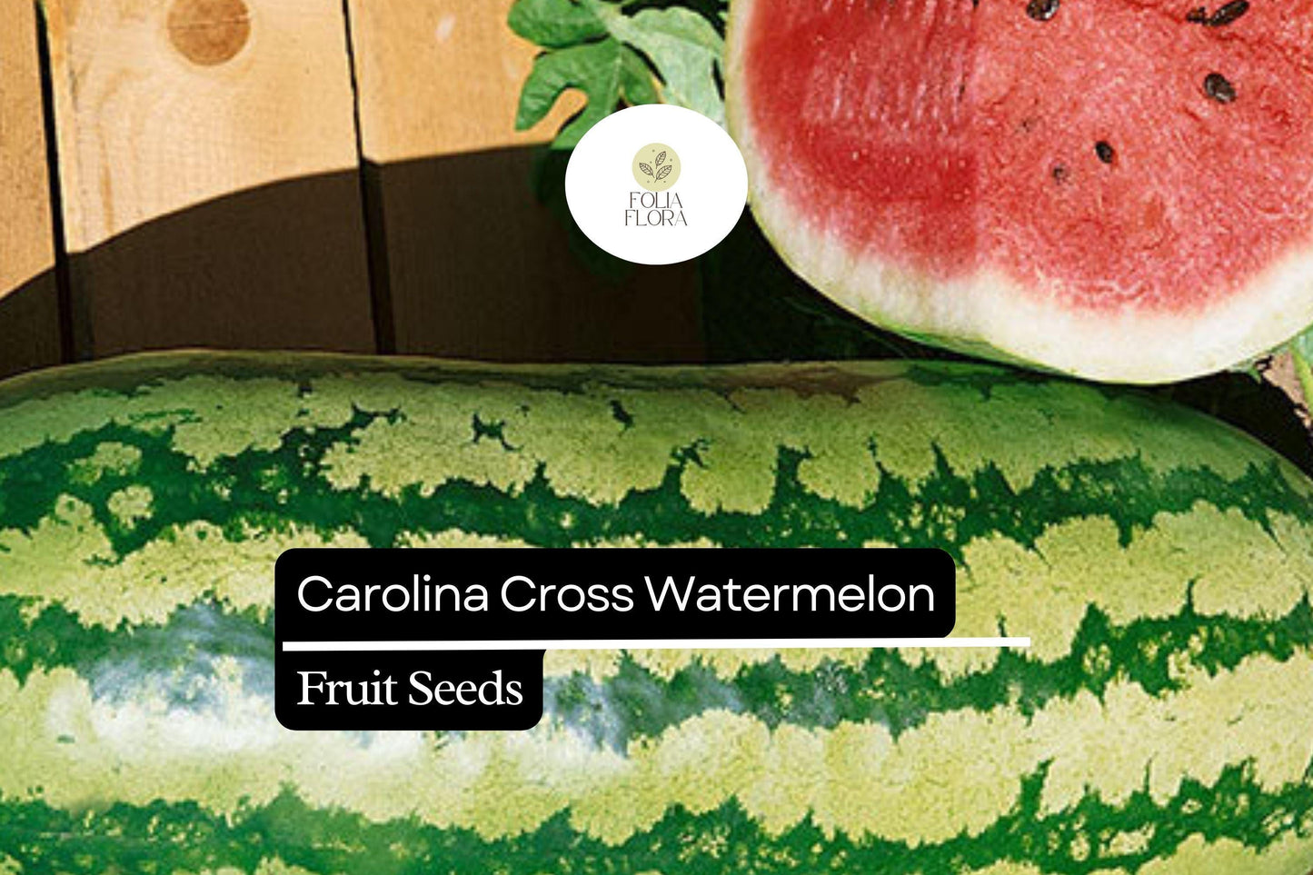 Citrullus lanatus Carolina Cross Watermelon Seeds – 50+ Giant Sweet Watermelon Seeds for High-Yield Harvests, Ideal for Competitions
