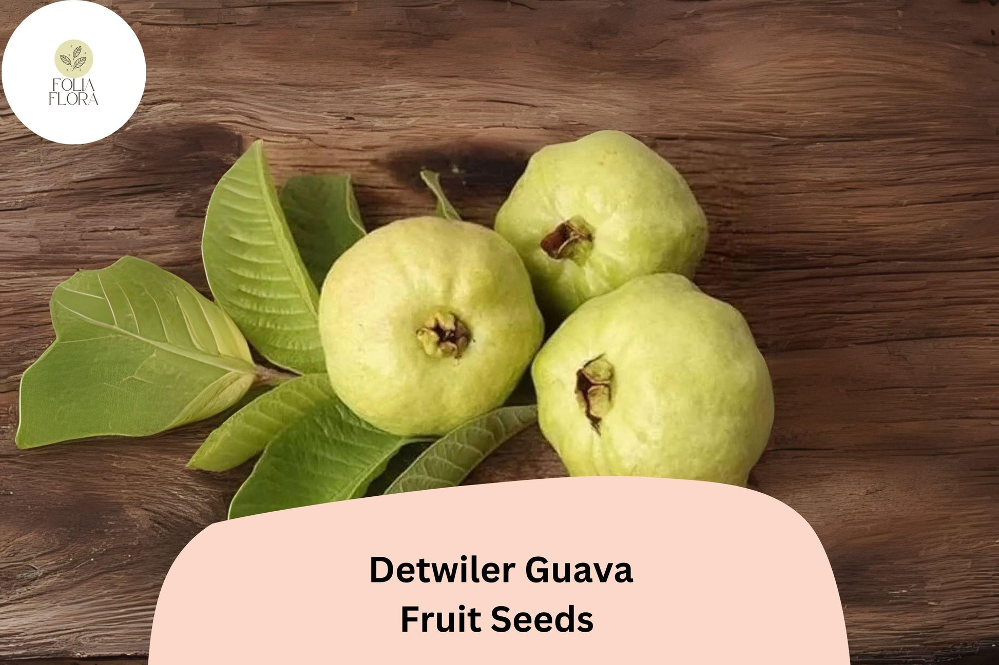 Detwiler Guava Seeds - 50+ Premium Psidium guajava - Tropical Fruit for Home Garden - Sweet & Aromatic Guavas