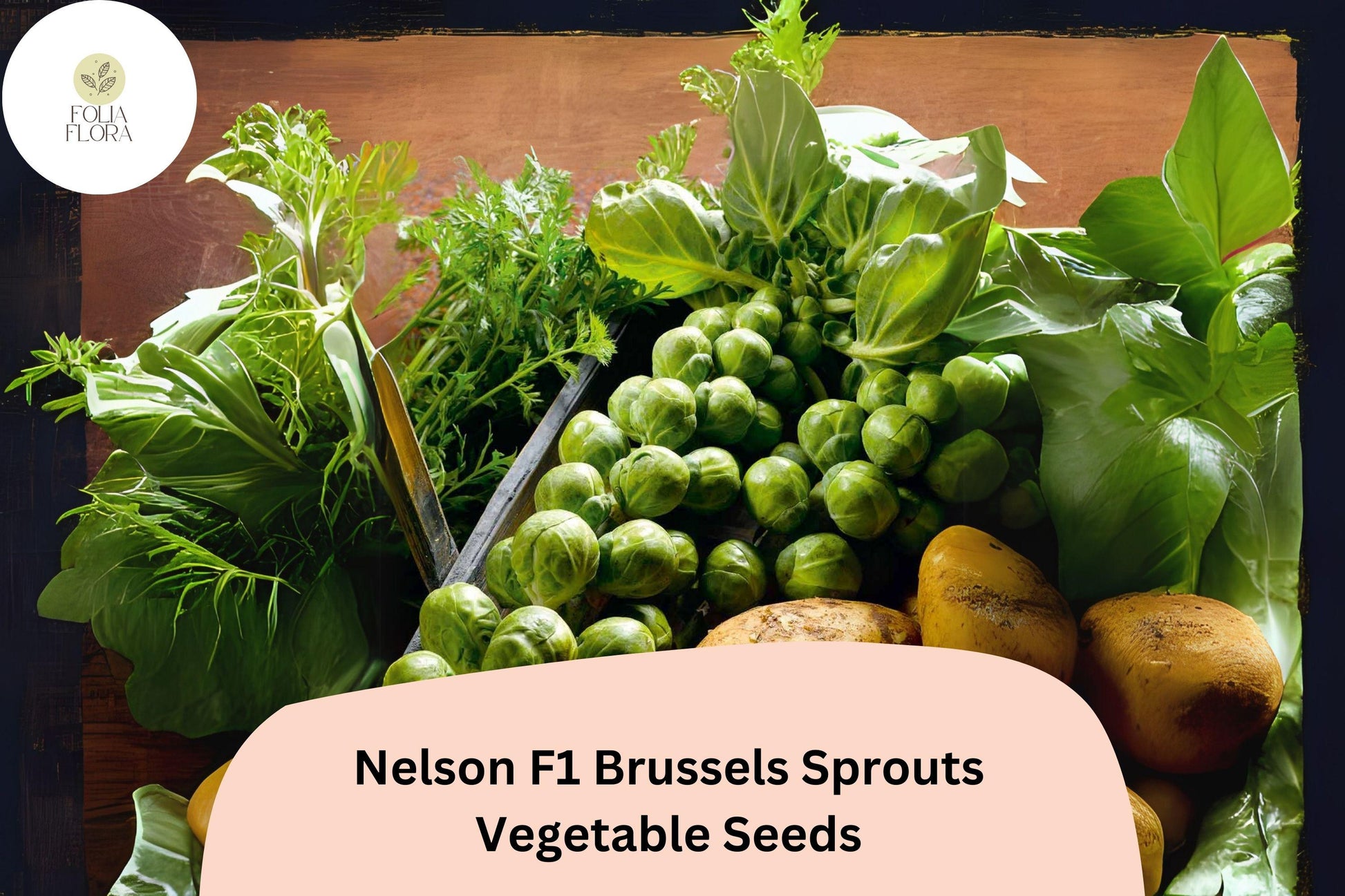 500+ Brussels Sprouts Seeds - Nelson F1 Hybrid, Cold-Hardy, Disease-Resistant, Sweet Green Sprouts, Perfect for Fall & Winter Harvest