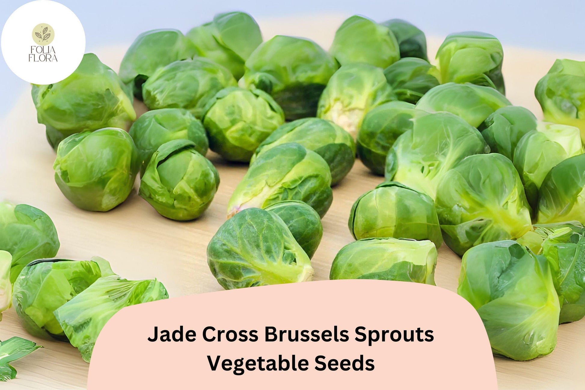 500+ Jade Cross Brussels Sprouts Seeds - Cold-Hardy, High-Yield Hybrid - Brassica oleracea