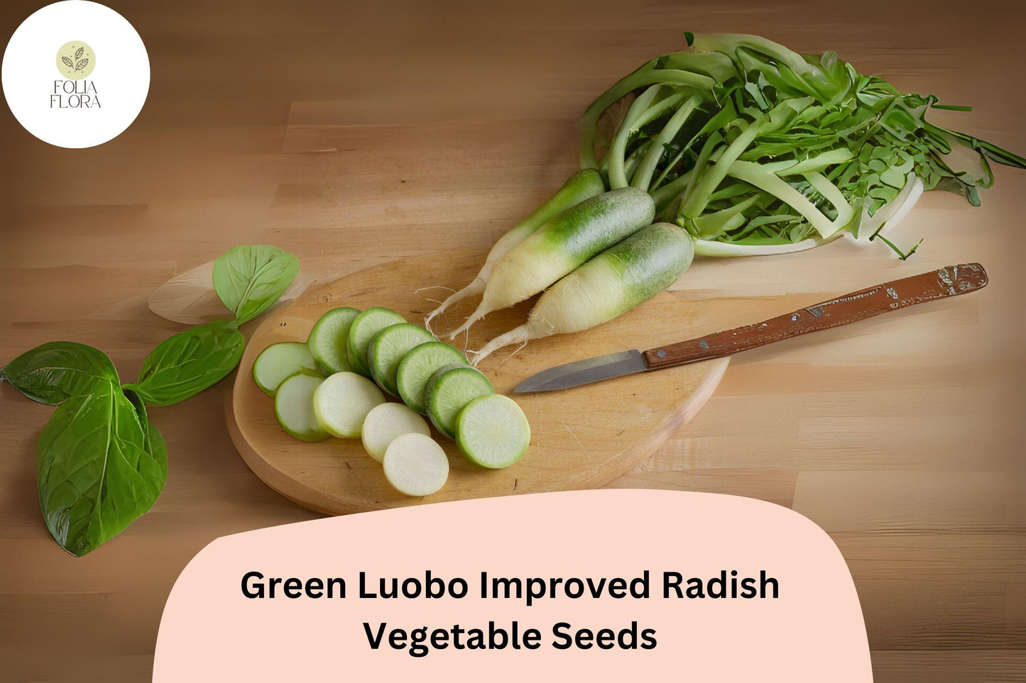 Green Luobo Radish Seeds - 500+ Heirloom, Crisp & Sweet Asian Variety - Raphanus sativus - Cold-Tolerant, High-Yield Gardening