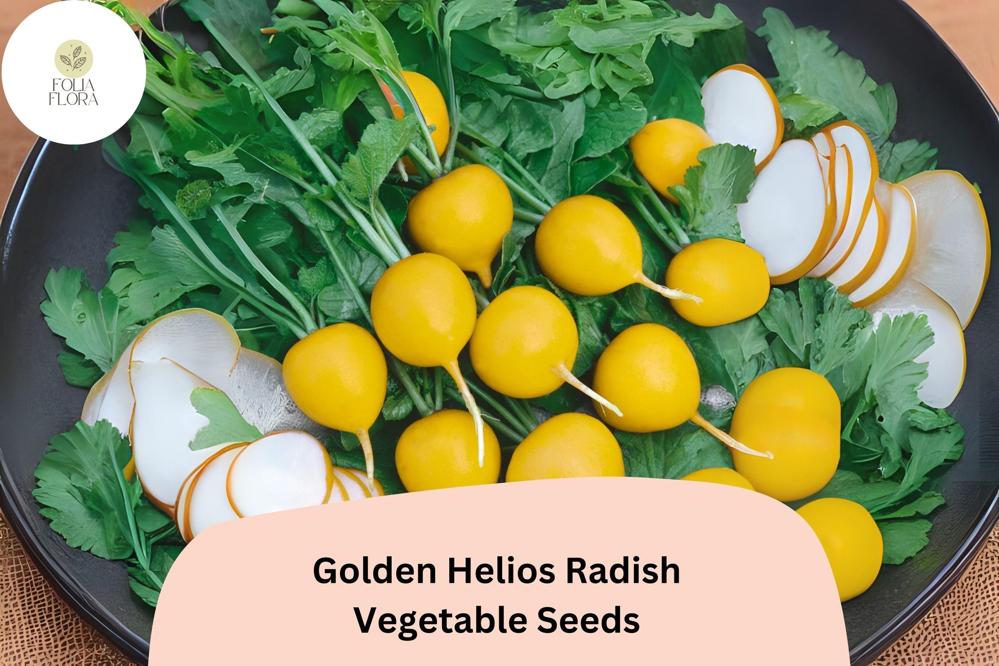 Golden Helios Radish Seeds - 500+ Heirloom, Mild Yellow Radish, Crisp White Flesh, Fast-Growing, Heat-Tolerant, Raphanus sativus