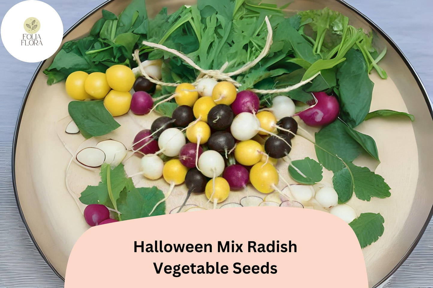 Halloween Mix Radish Seeds - 500+ Colorful Heirloom Blend, Fast-Growing White, Purple, Red & Black Radishes - Raphanus sativus