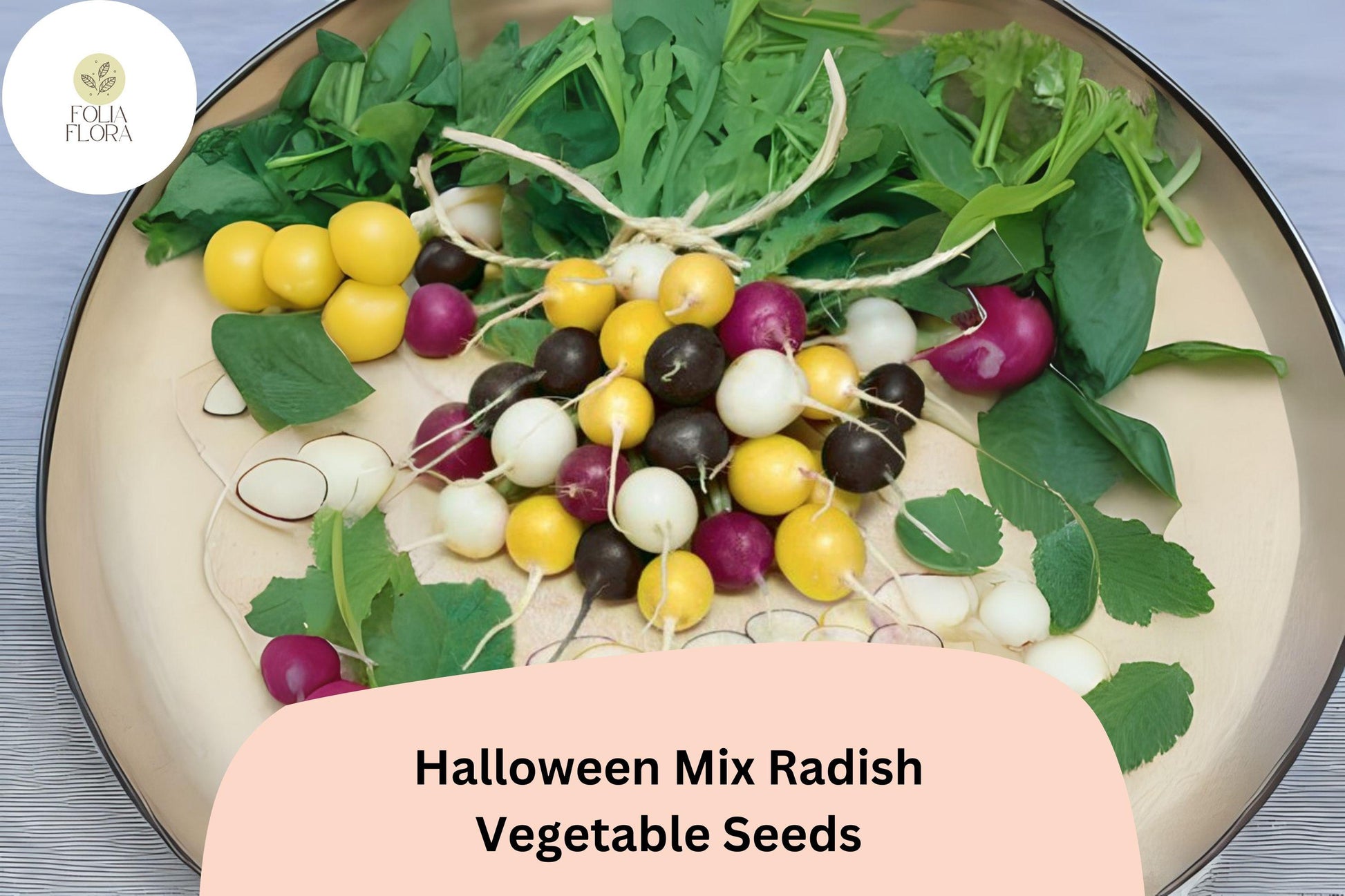 Halloween Mix Radish Seeds - 500+ Colorful Heirloom Blend, Fast-Growing White, Purple, Red & Black Radishes - Raphanus sativus
