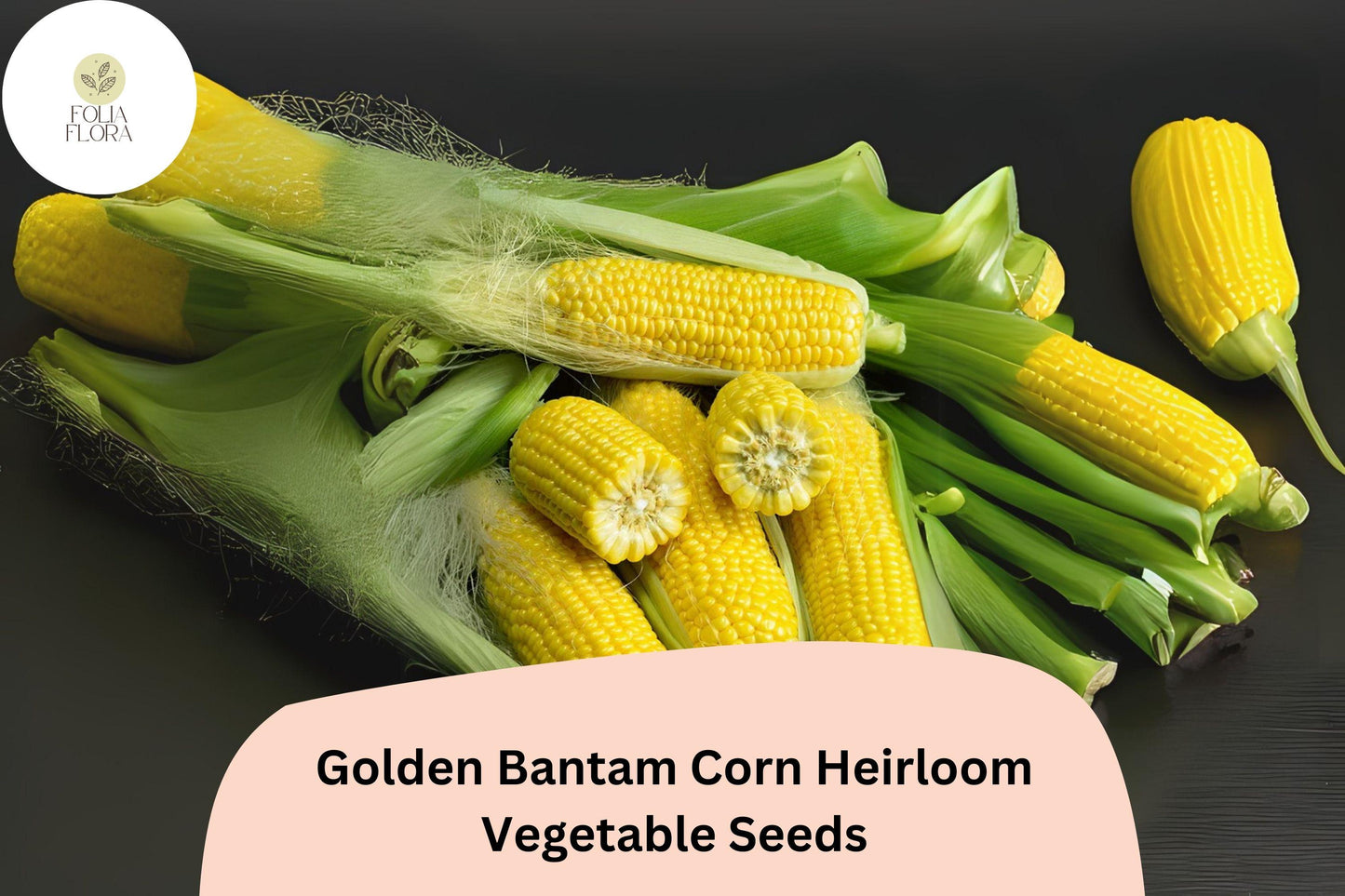 Golden Bantam Corn Seeds - 50pcs Heirloom Sweet Corn, Non-GMO, Zea mays, Classic Yellow Kernels for Home Gardens