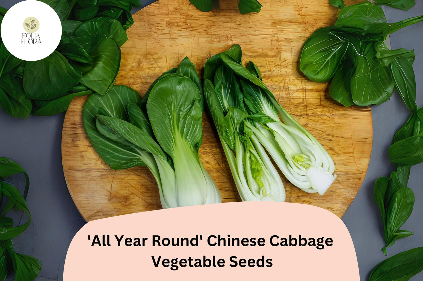 1000pcs Chinese Cabbage Seeds - All Year Round, Mild Flavor, Non-GMO, Brassica rapa var. pekinensis, Fast-Growing, Space-Saving