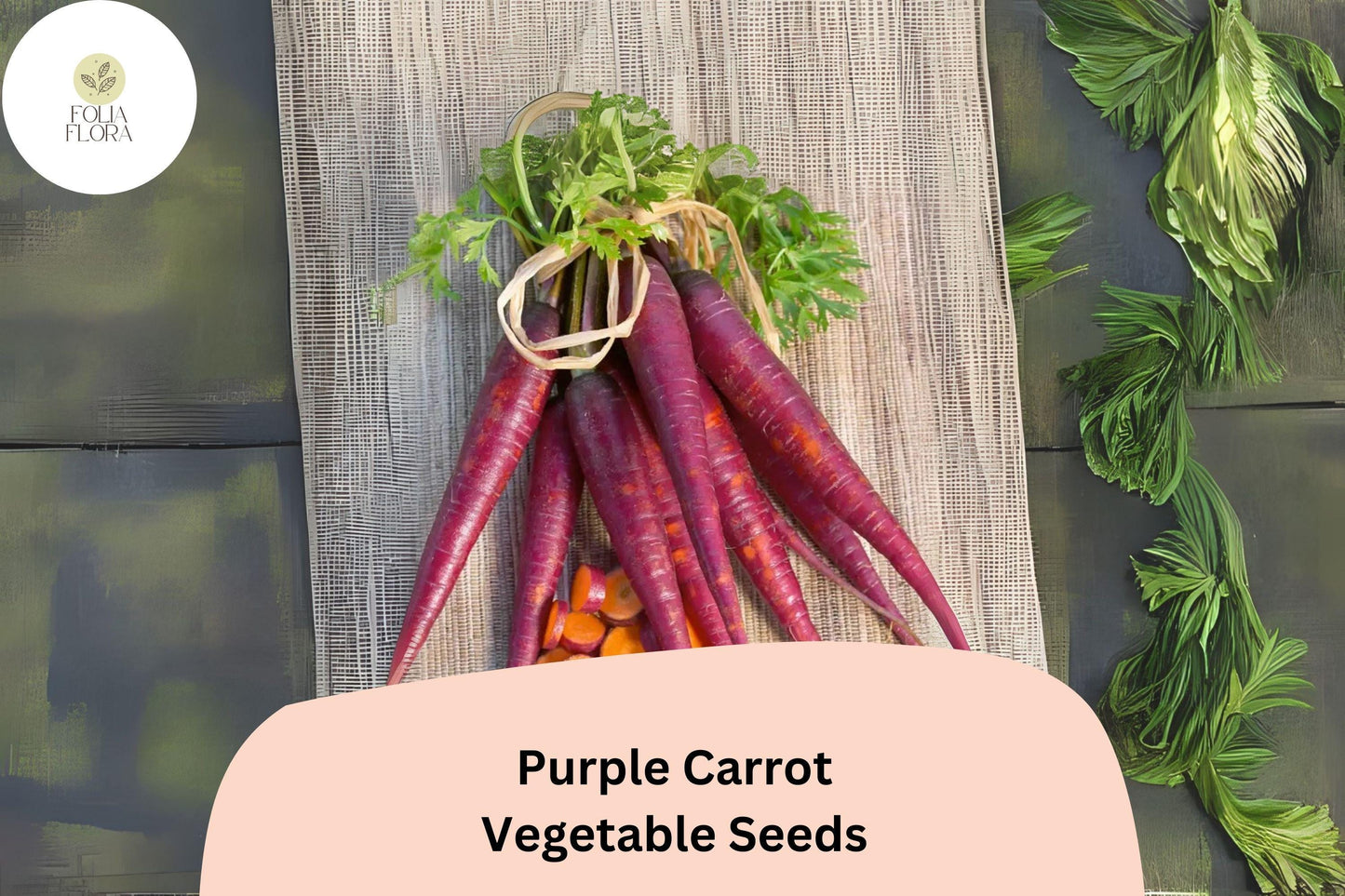 1000 Purple Carrot Seeds - Heirloom Non-GMO Vegetable Seeds - Daucus carota subsp. sativus - Sweet Flavor, Colorful Harvest