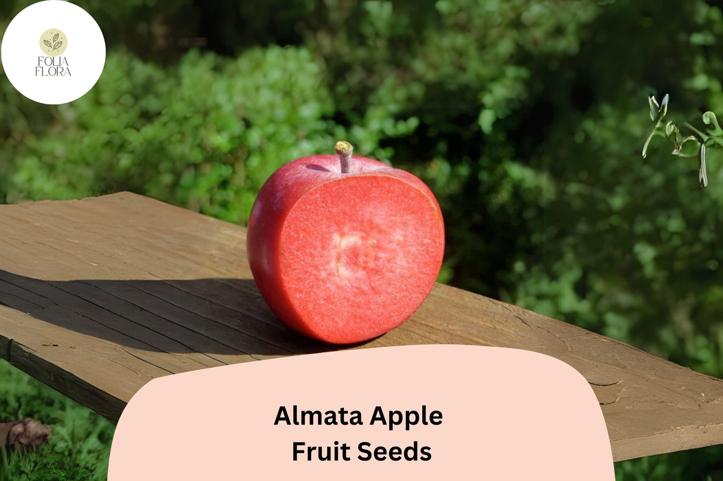 Almata Apple Seeds - 25+ Rare Red-Flesh Fruit Tree Seeds | Malus domestica | Tart Flavor, Pink Blossoms, Edible Landscaping