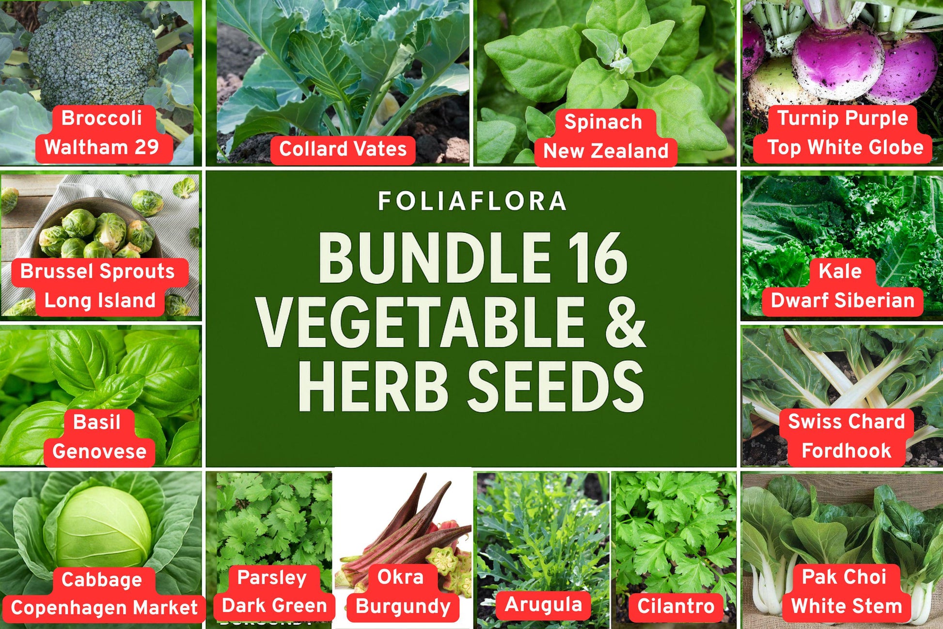 Vegetable Herb Seed Bundle - 16 Varieties - Non-GMO Home Gardening Seeds for Kale, Basil, Spinach, Cilantro, Brassica oleracea