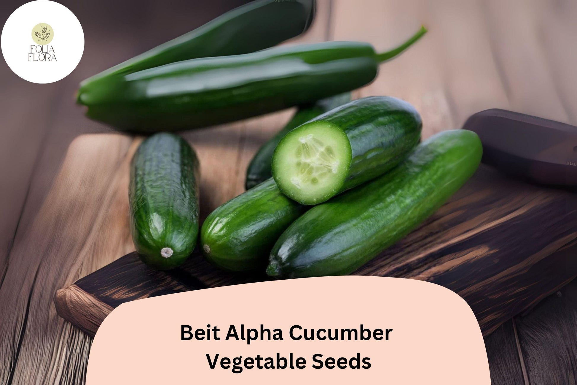 Beit Alpha Cucumber Seeds - 25+ Non-GMO Seeds, Sweet Thin-Skinned Israeli Variety, Cucumis sativus, Easy to Grow