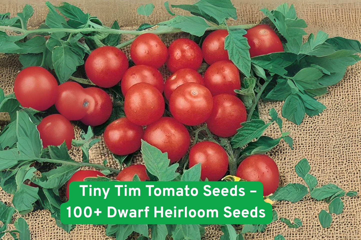 Tiny Tim Tomato Seeds - 100+ Dwarf Heirloom Cherry Tomato Seeds - Solanum lycopersicum - Perfect for Containers & Small Gardens