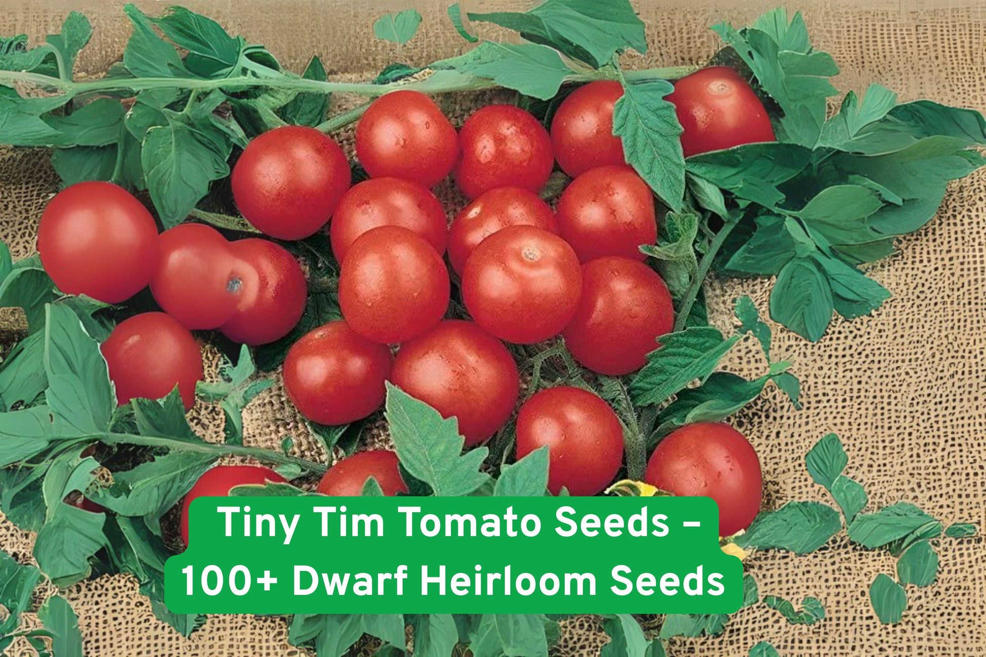 Tiny Tim Tomato Seeds - 100+ Dwarf Heirloom Cherry Tomato Seeds - Solanum lycopersicum - Perfect for Containers & Small Gardens