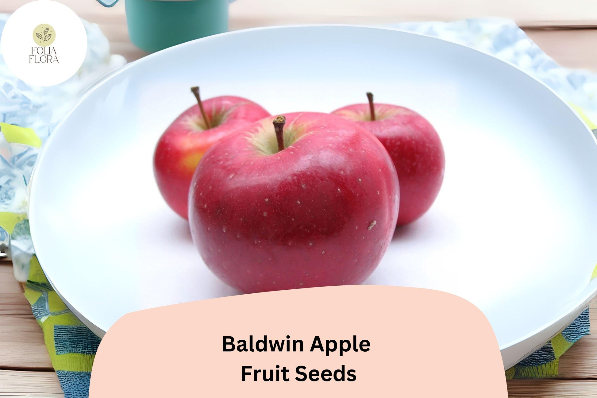 Baldwin Apple Seeds (25+) | Heirloom Malus domestica | Cold Hardy Fruit Tree for Gardens & Orchards | Sweet, Crisp Flavor