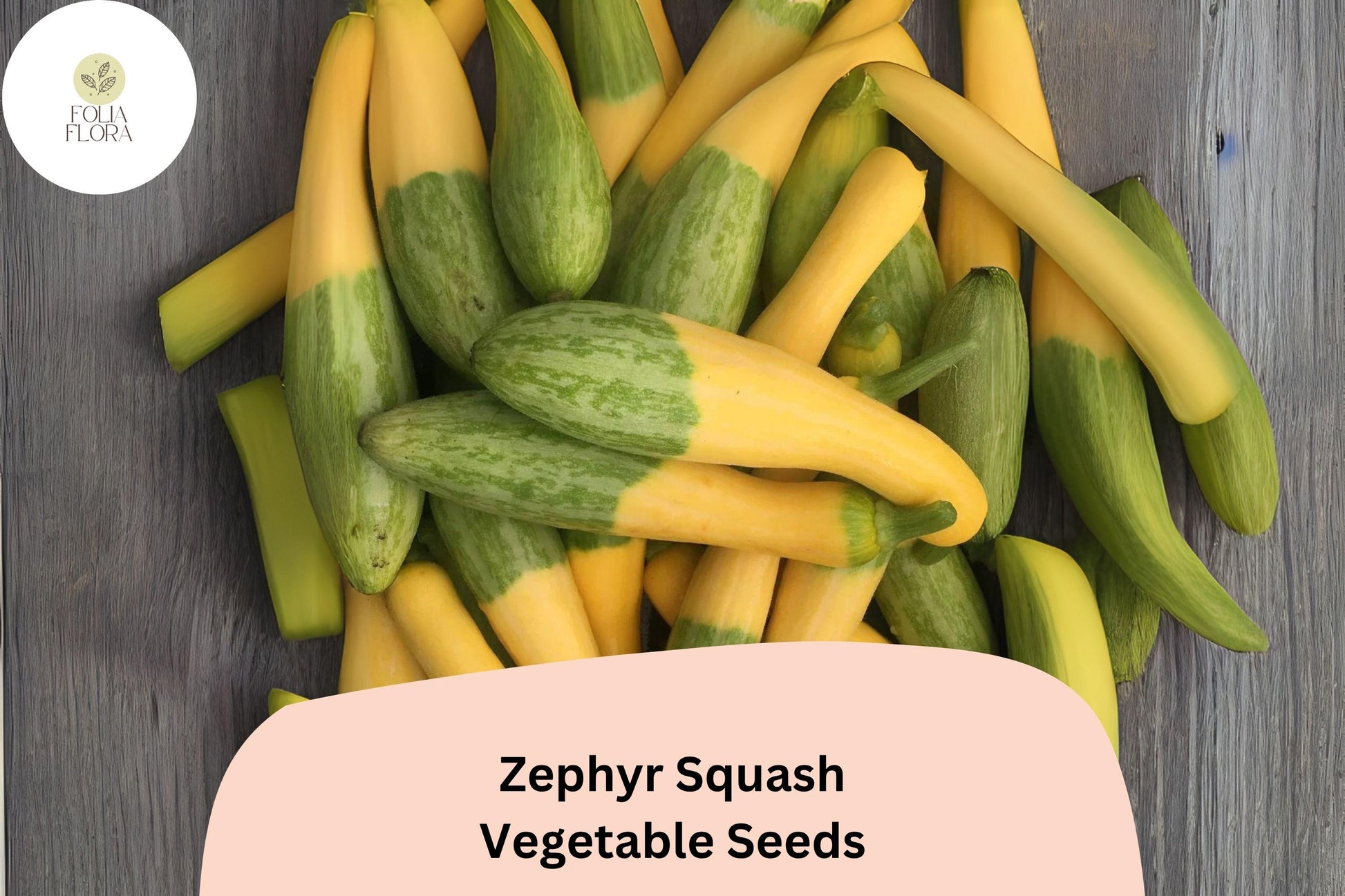 Zephyr Squash Seeds | 25+ Heirloom Yellow Green Vegetable | Cucurbita pepo 'Zephyr' | Ideal for Grilling and Roasting