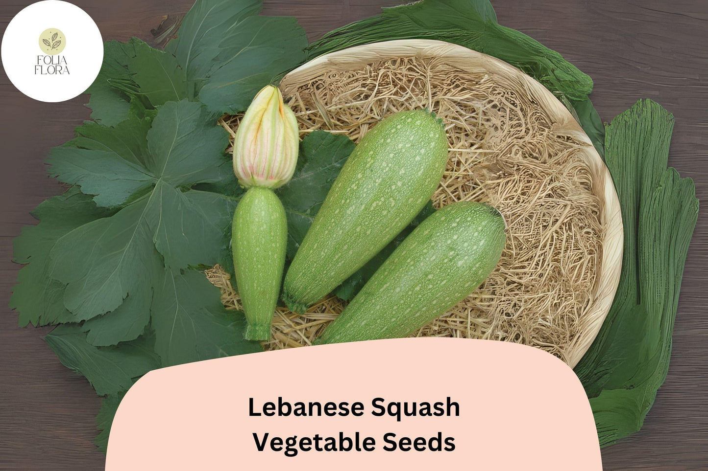 Lebanese Cousa Squash Seeds | 25+ Heirloom Vegetable Seeds | Cucurbita pepo | Middle Eastern Summer Squash