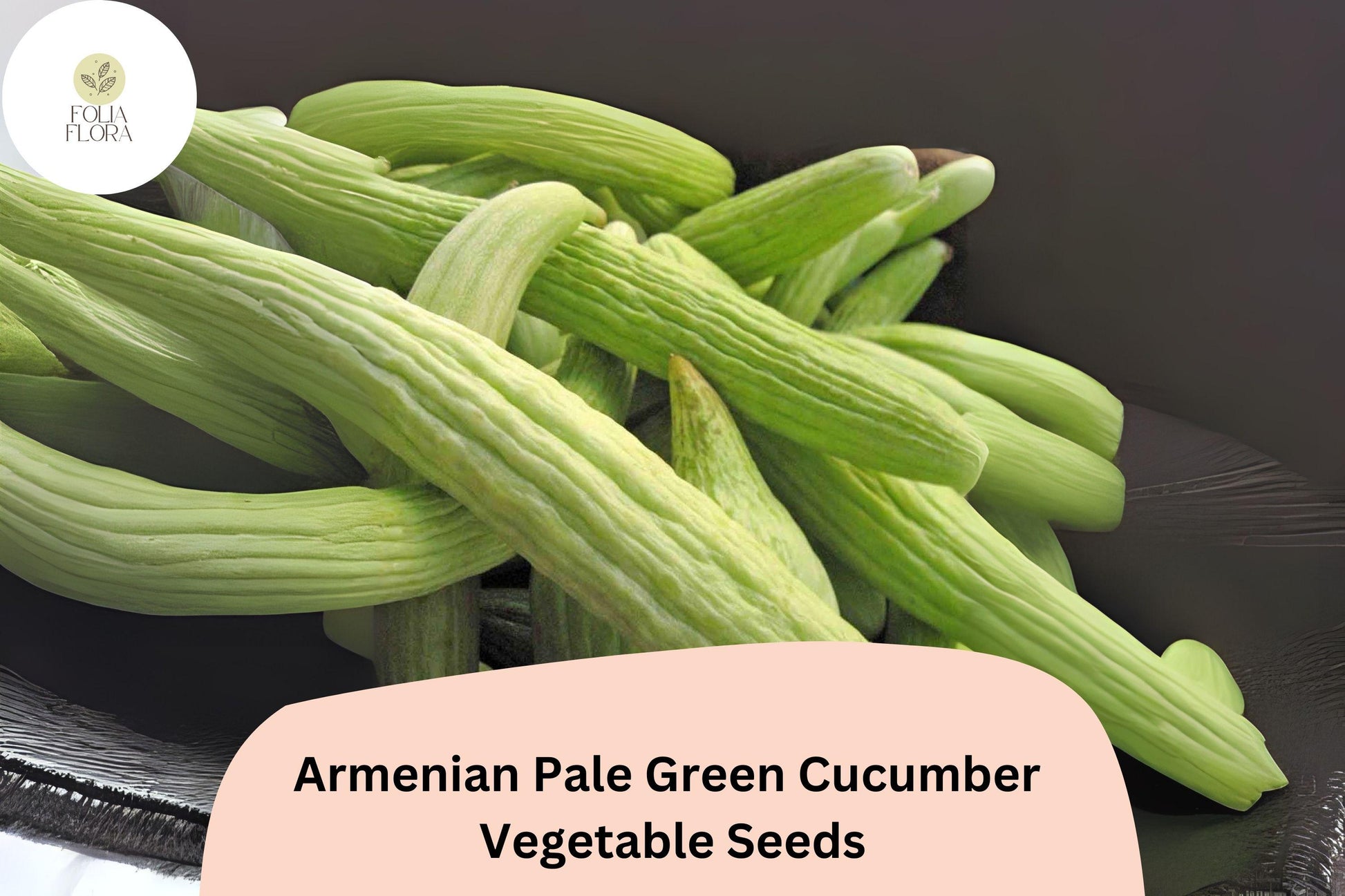 Armenian Cucumber Seeds - 25+ Heirloom Pale Green Snake Melon (Cucumis melo var. flexuosus) for Garden Planting & Slicing
