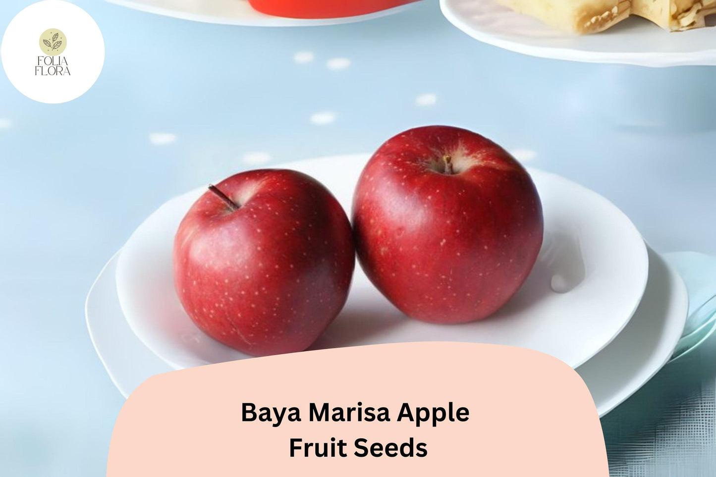 25+ Baya Marisa Apple Seeds | Rare Red Flesh Variety | Malus domestica | Sweet Crisp Fruit for Planting