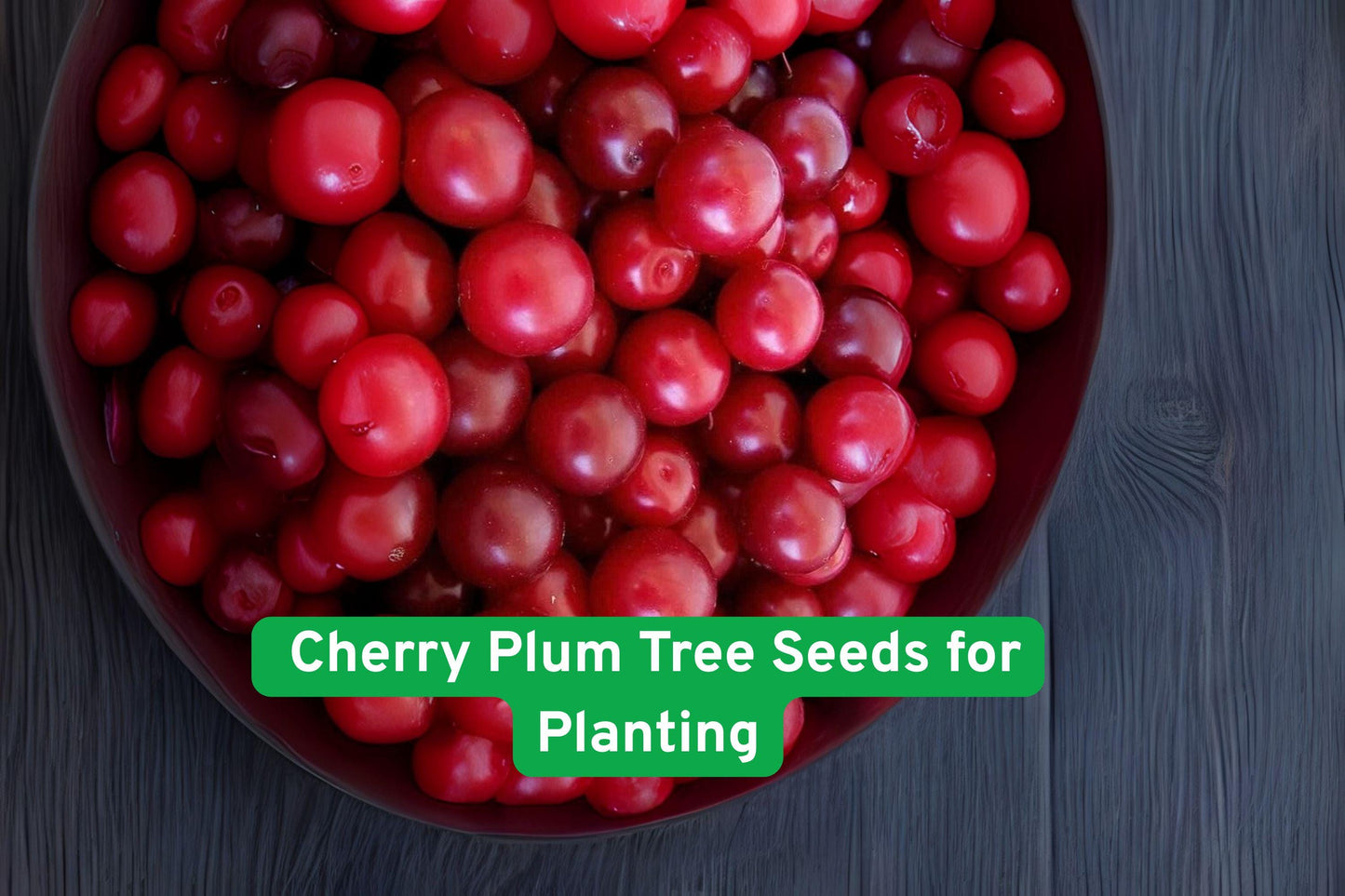 Cherry Plum Tree Seeds - Edible Fruit & Pink Blooms - Prunus cerasifera - Perfect for Bonsai & Garden Planting