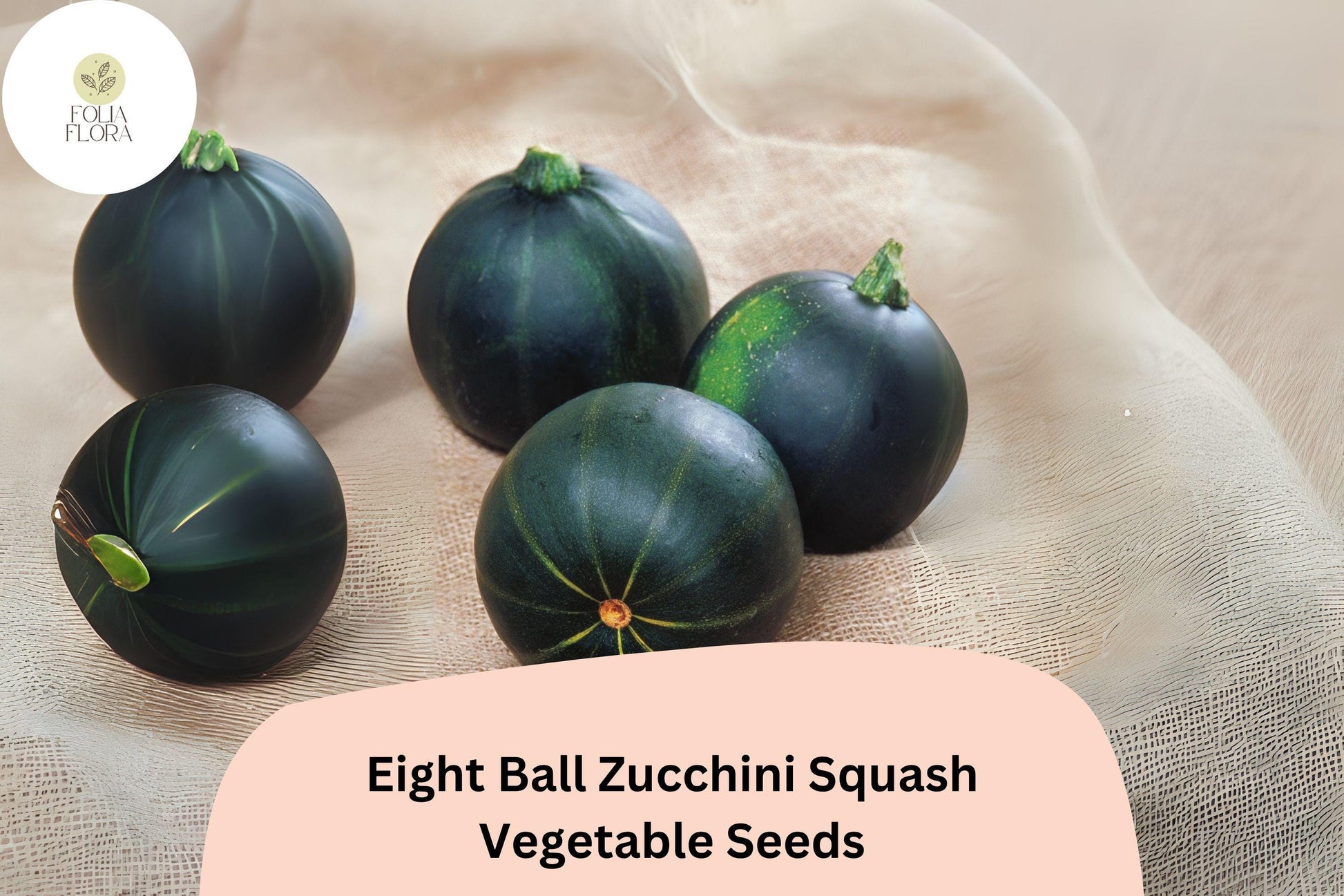Eight Ball Zucchini Seeds | 25+ Round Dark Green Squash | Cucurbita pepo | Ideal for Stuffing & Small Gardens