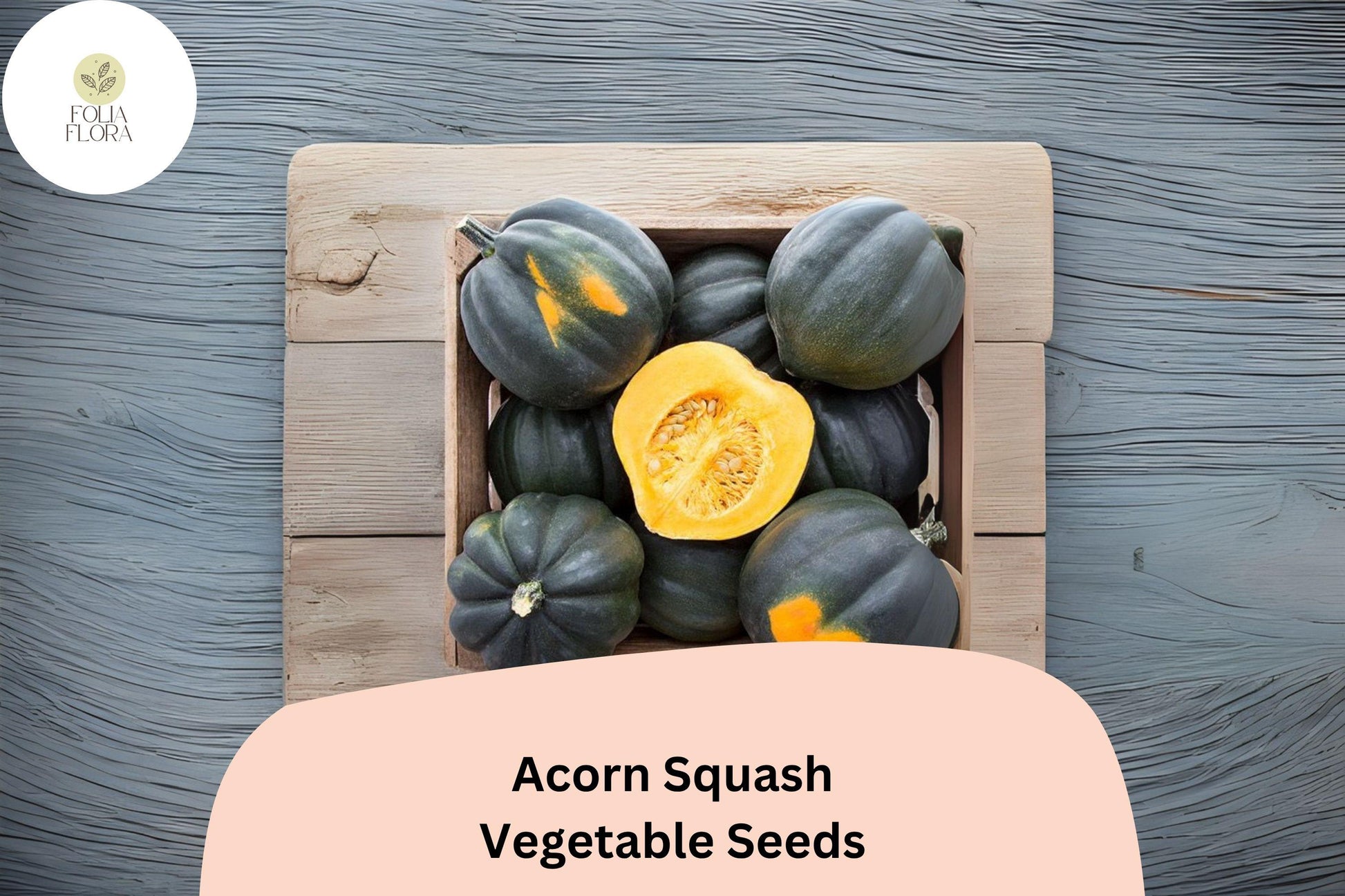 Heirloom Acorn Squash Seeds | 25+ Dark Green Ribbed Fruits | Cucurbita pepo 'Table Queen' | Perfect for Baking and Stuffing