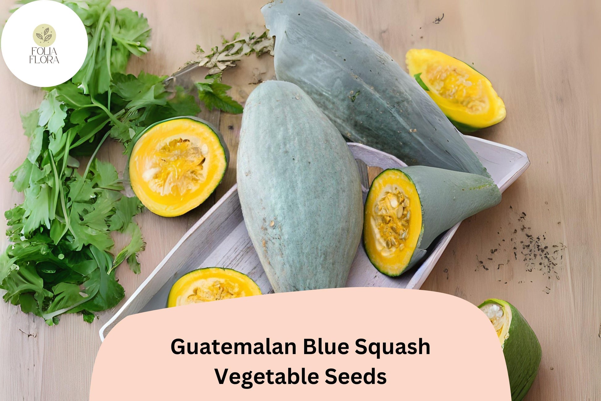 Guatemalan Blue Squash Seeds | 25+ Rare Heirloom Seeds | Cucurbita maxima | Nutty Orange Flesh, Blue-Green Skin