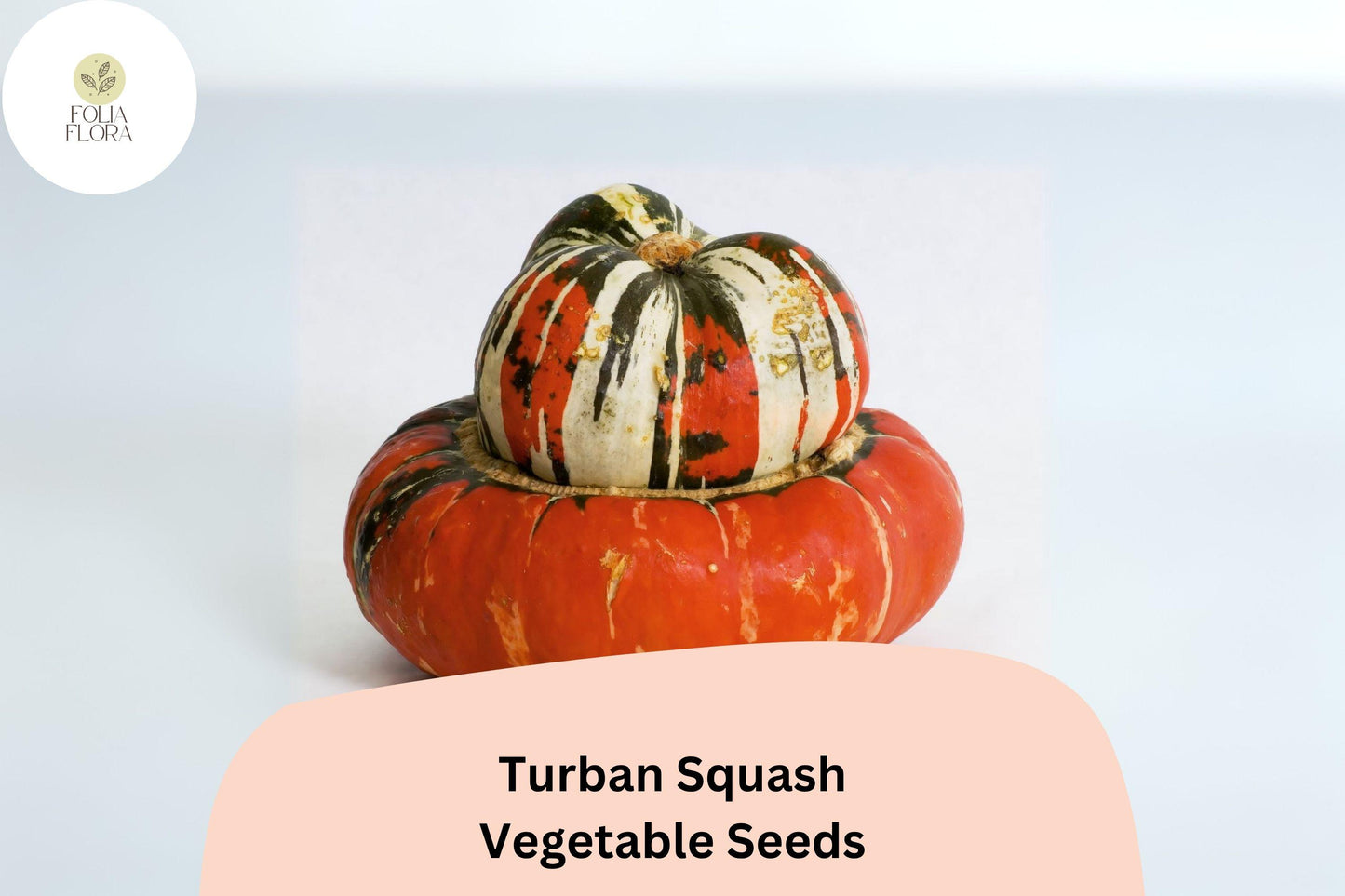 Turban Squash Seeds | 25+ Heirloom Seeds | Edible & Decorative | Cucurbita maxima | Sweet Nutty Flavor