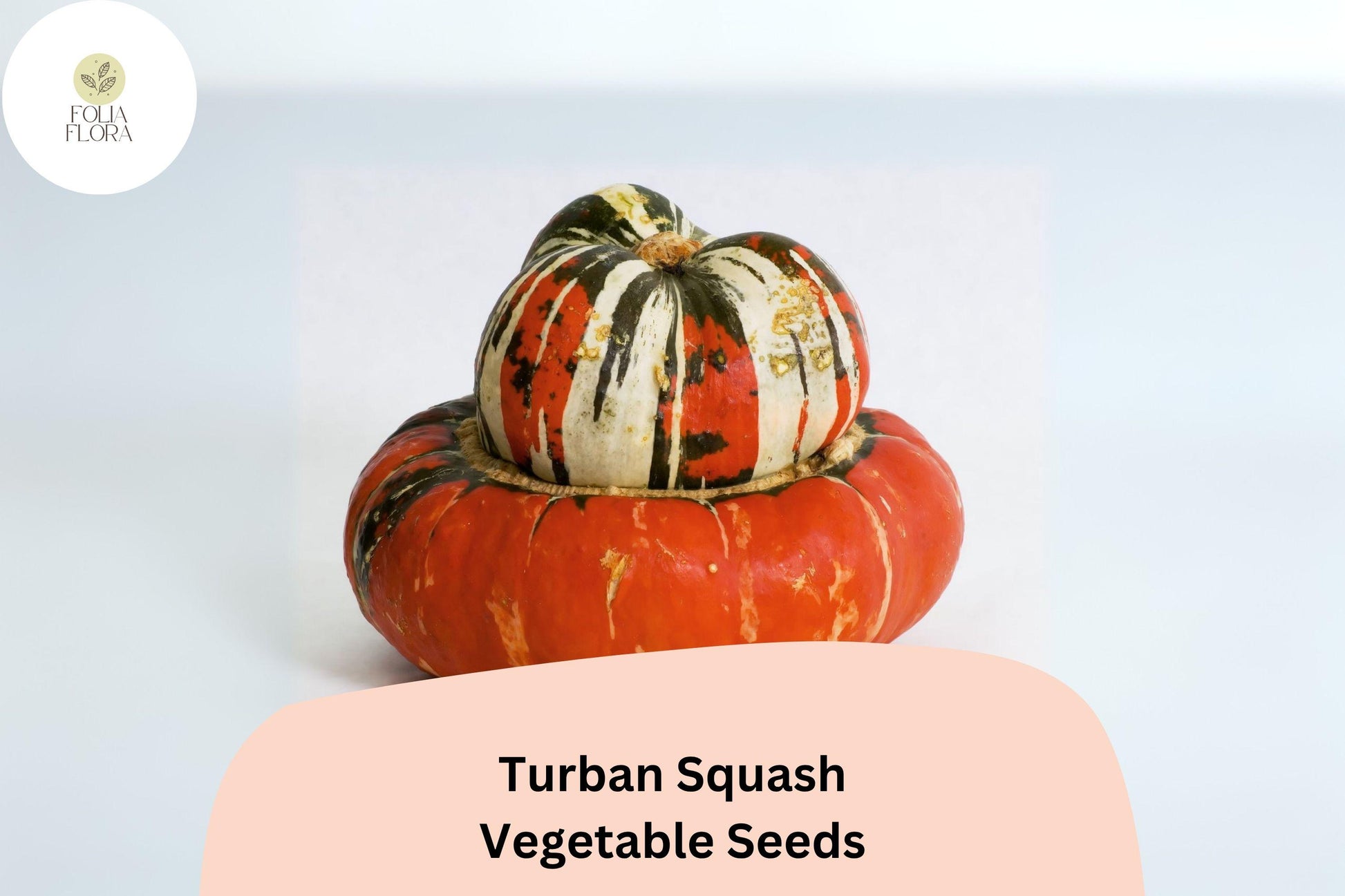 Turban Squash Seeds | 25+ Heirloom Seeds | Edible & Decorative | Cucurbita maxima | Sweet Nutty Flavor