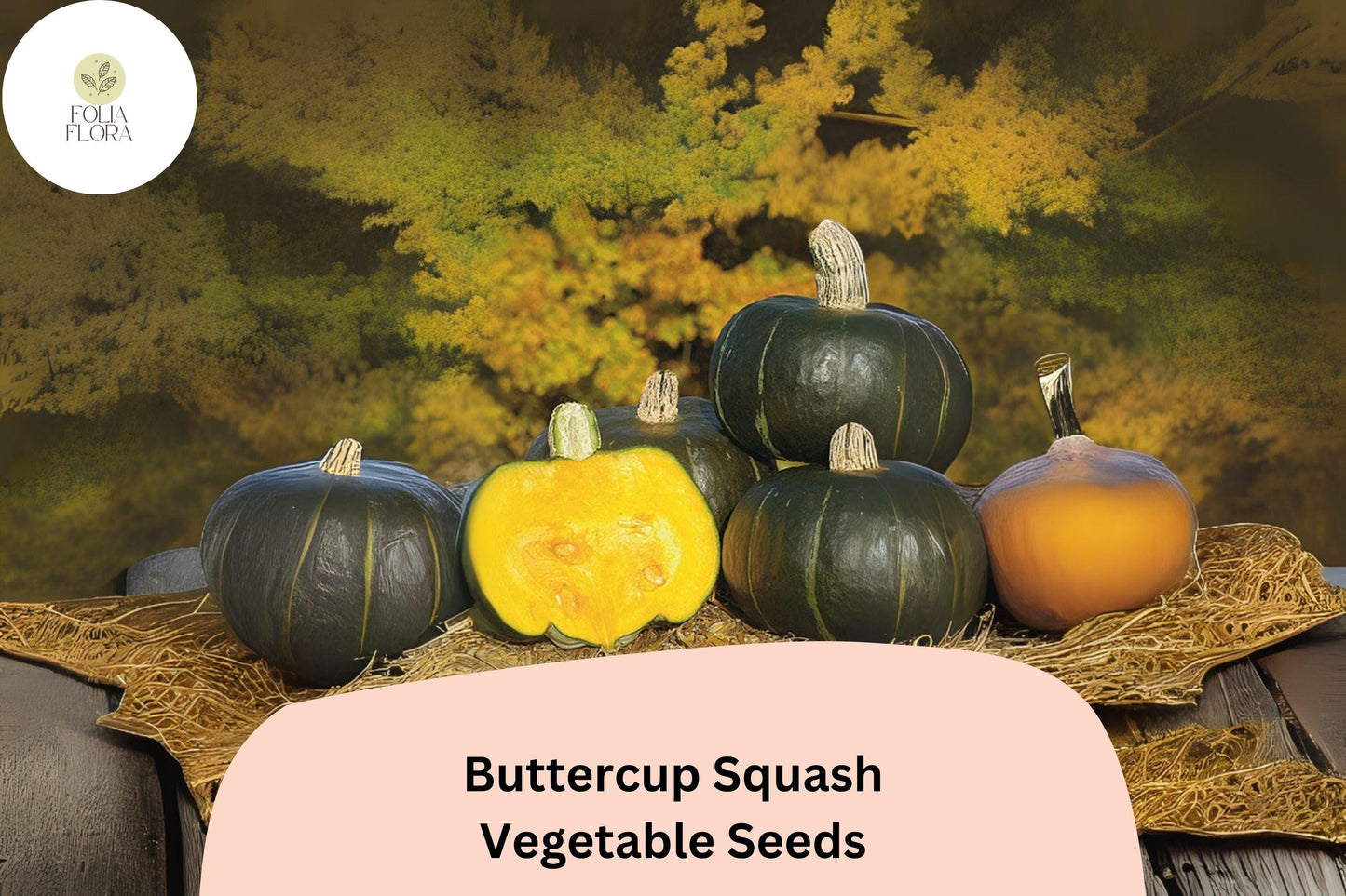 Buttercup Squash Seeds | 25+ Heirloom Seeds | Sweet Dense Orange Flesh | Cucurbita maxima | Ideal for Roasting & Baking