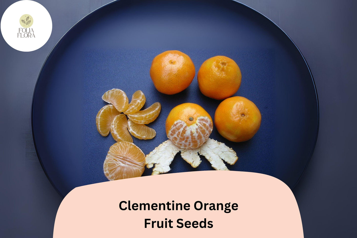 Clementine Orange Seeds - 5+ Seedless Citrus Seeds, Sweet & Easy to Peel, Citrus reticulata × sinensis for Home Garden