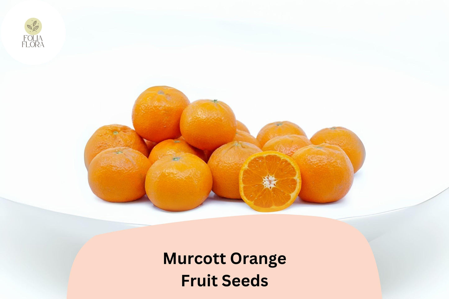 Murcott Orange Seeds - 5+ Sweet Tangor Seeds (Citrus reticulata) - Honey Tangerine Variety for Edible Gardens and Containers