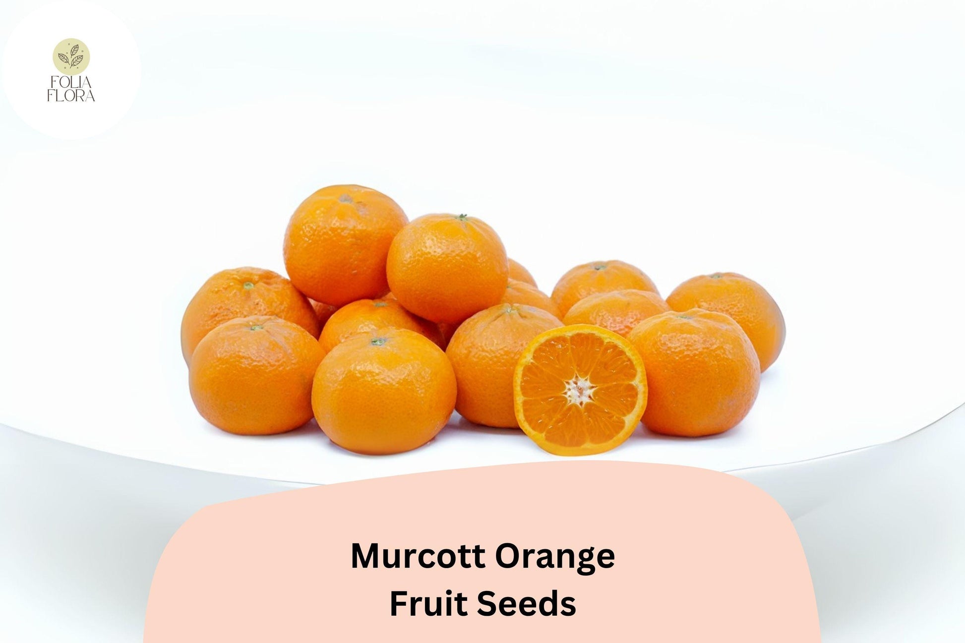 Murcott Orange Seeds - 5+ Sweet Tangor Seeds (Citrus reticulata) - Honey Tangerine Variety for Edible Gardens and Containers