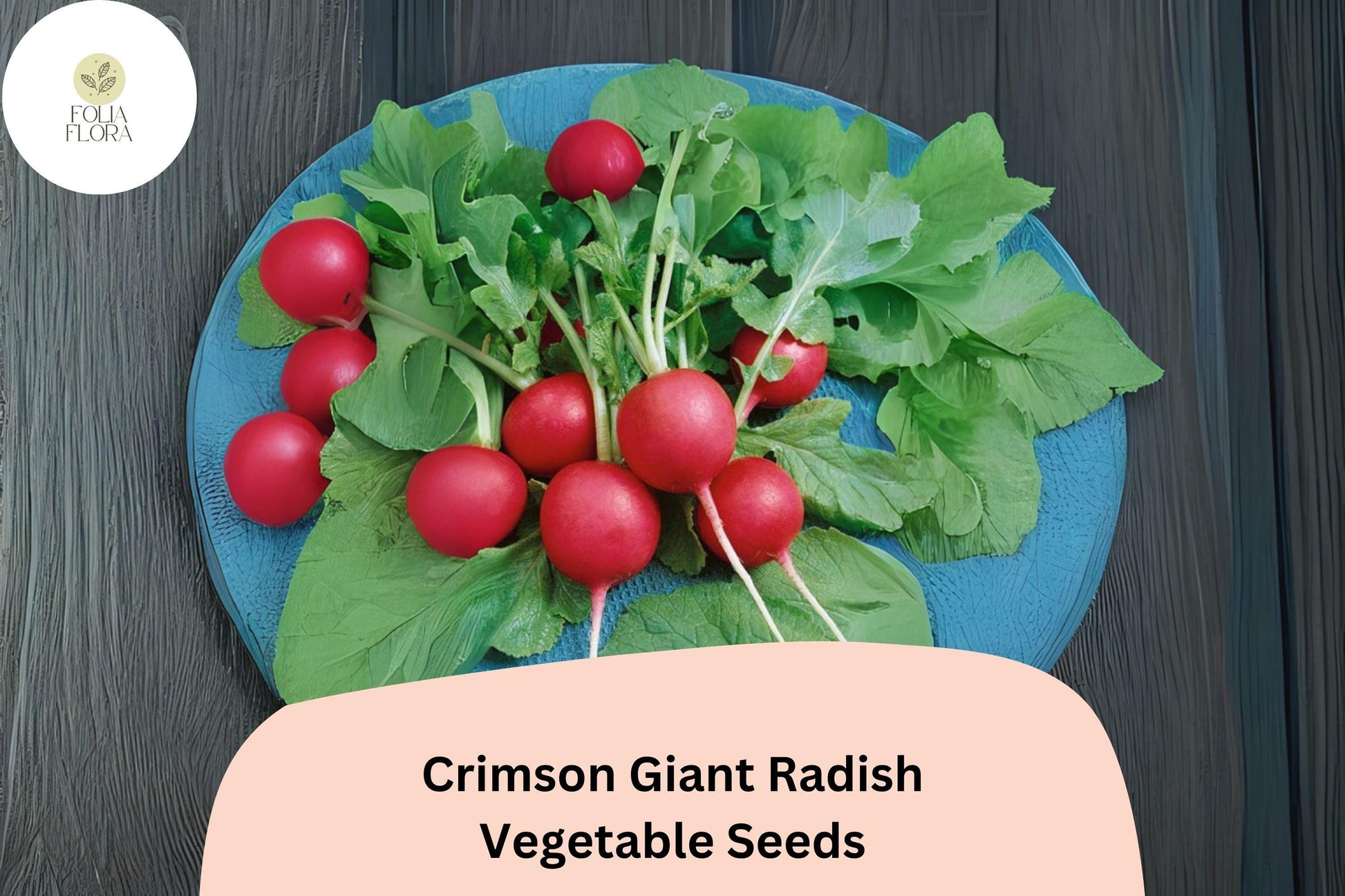 Crimson Giant Radish Seeds | 500+ Large Red Radish Seeds for Garden Planting | Raphanus sativus 'Crimson Giant'