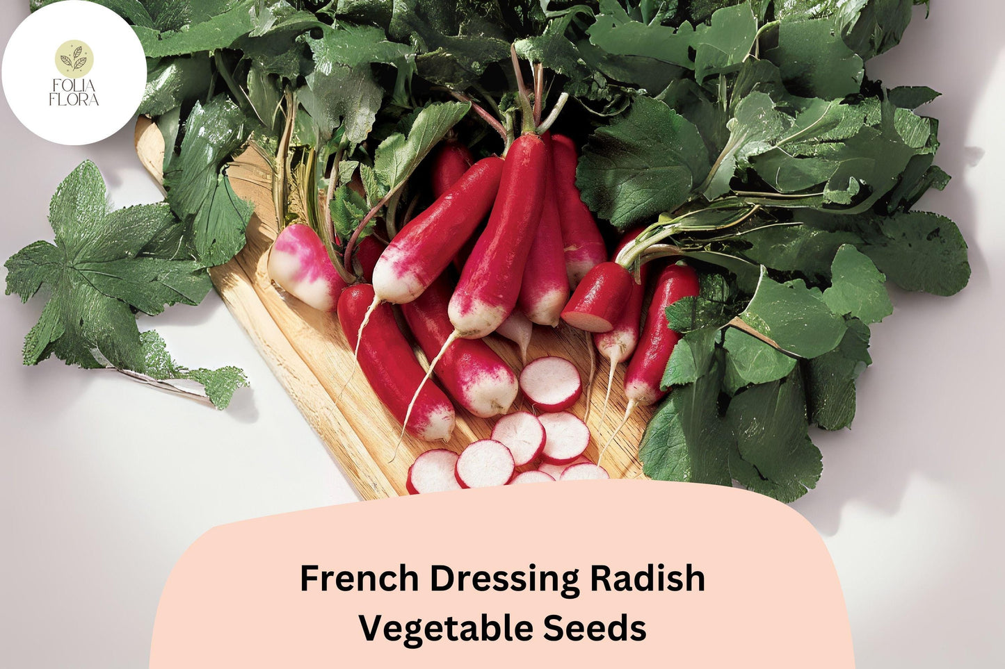500+ French Dressing Radish Seeds | Colorful Mix of Red, Pink, Purple & White | Raphanus sativus Mix for Quick Harvest