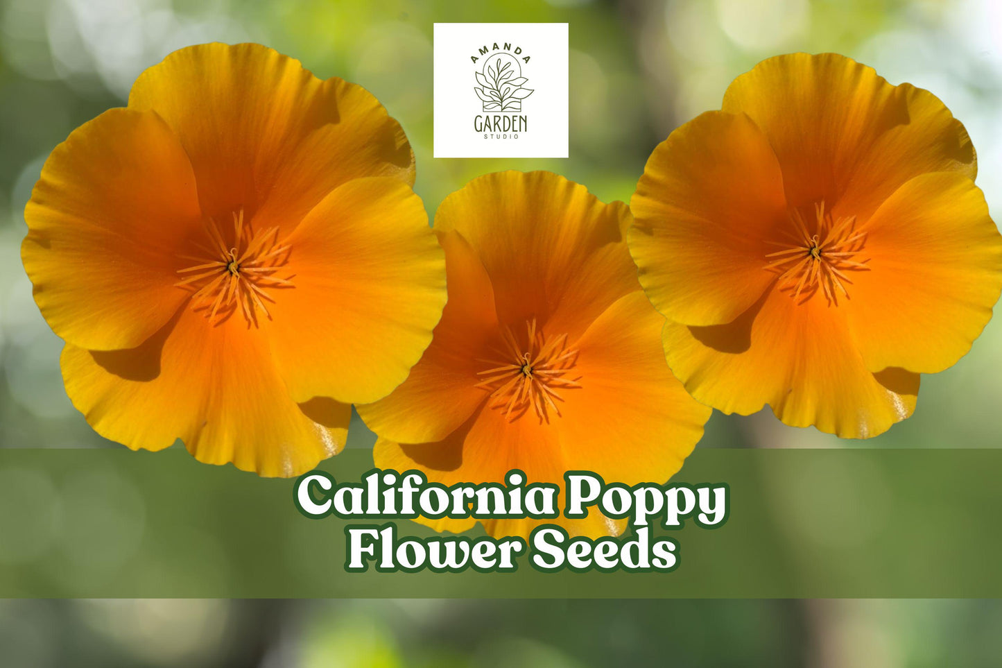 California Poppy Flower Seeds - 5,000 Bright Orange Wildflower Seeds - Eschscholzia californica - Drought-Tolerant Pollinator Garden