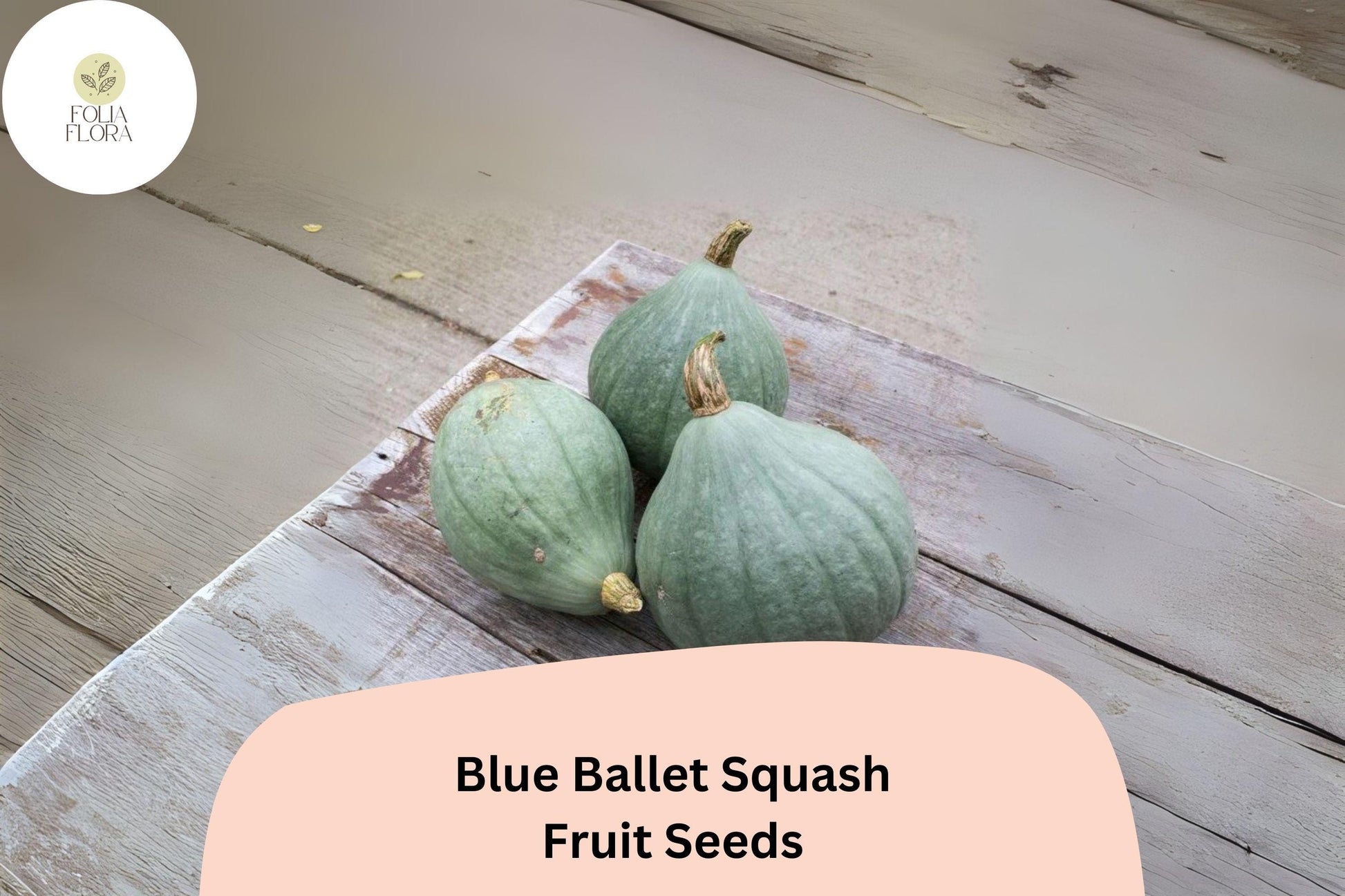 Blue Ballet Squash Seeds | 25+ Premium Seeds | Cucurbita maxima | Sweet Blue-Grey Winter Squash for Baking & Roasting